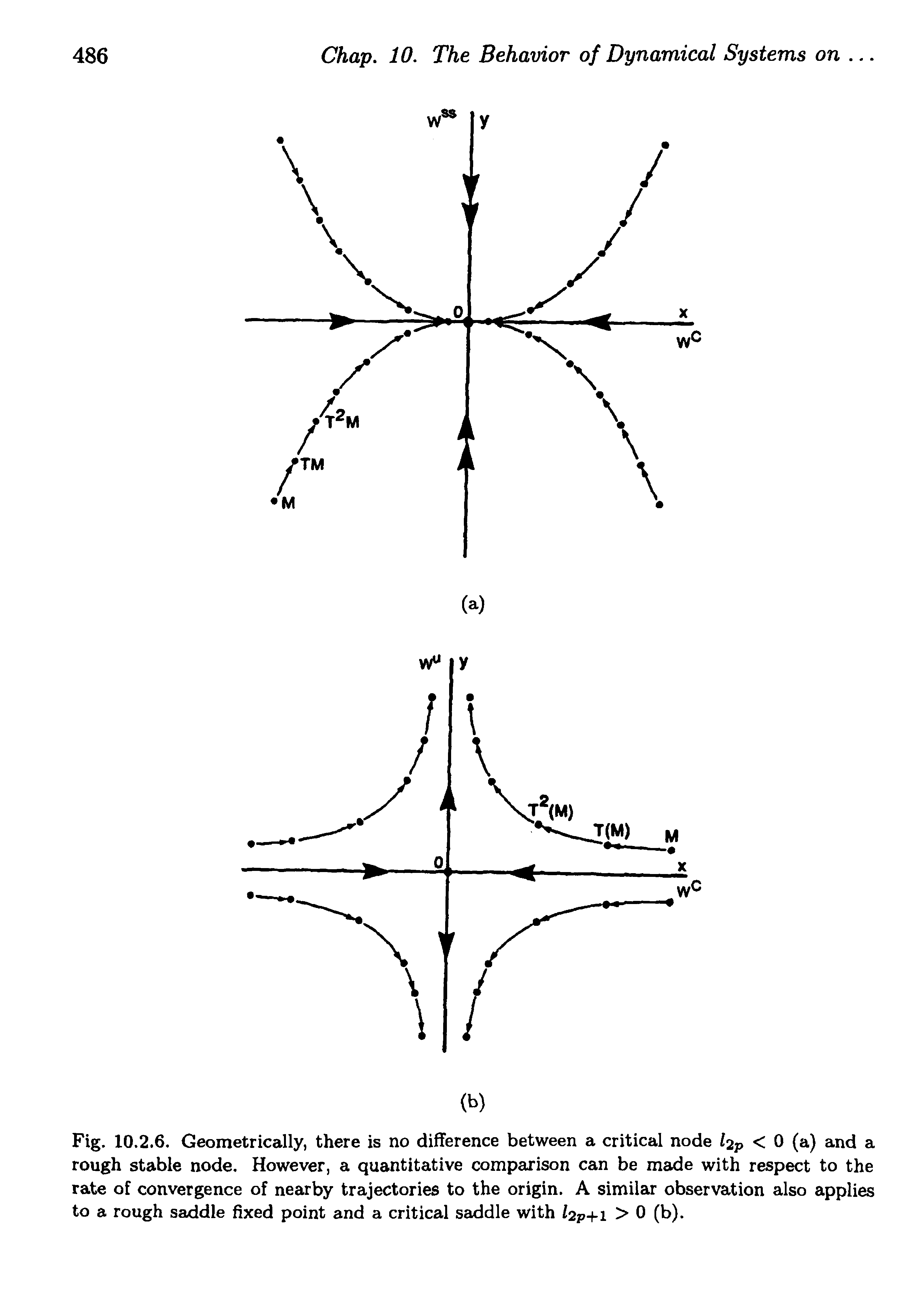 Fig. 10.2.6. Geometrically, there is no difference between a critical node hp < 0 (a) and a rough stable node. However, a quantitative comparison can be made with respect to the rate of convergence of nearby trajectories to the origin. A similar observation also applies to a rough saddle fixed point and a critical saddle with /2p+i >0 (b).