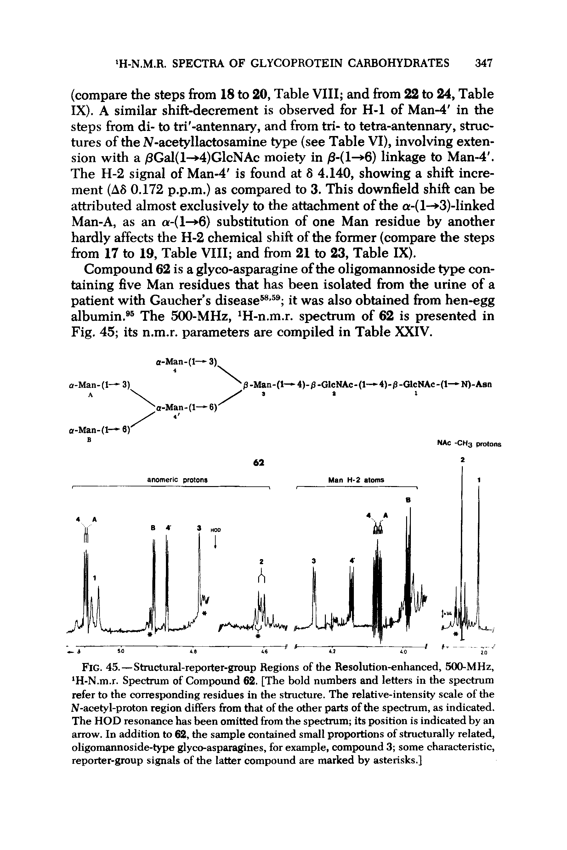 Fig. 45. — Structural-reporter-group Regions of the Resolution-enhanced, 500-MHz, H-N.m.r. Spectrum of Compound 62. [The bold numbers and letters in the spectrum refer to the corresponding residues in the structure. The relative-intensity scale of the N-acetyl-proton region differs from that of the other parts of the spectrum, as indicated. The HOD resonance has been omitted from the spectrum its position is indicated by an arrow. In addition to 62, the sample contained small proportions of structurally related, oligomannoside-type glyco-asparagines, for example, compound 3 some characteristic, reporter-group signals of the latter compound are marked by asterisks.]...