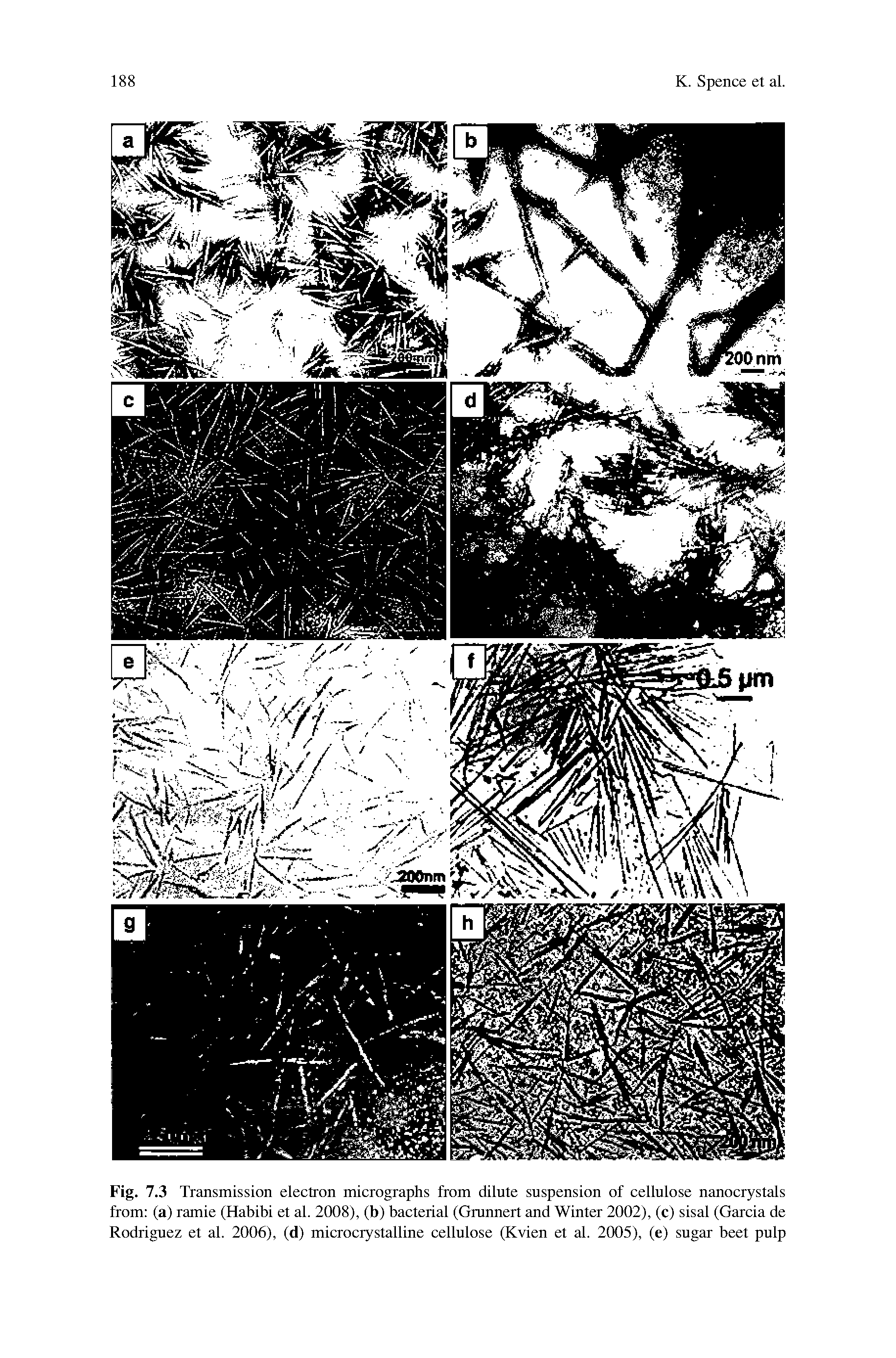 Fig. 7.3 Transmission electron micrographs from dilute suspension of cellulose nanocrystals from (a) ramie (Habibi et al. 2008), (b) bacterial (Grunnert and Winter 2002), (c) sisal (Garcia de Rodriguez et al. 2006), (d) microcrystalline cellulose (Kvien et al. 2005), (e) sugar beet pulp...