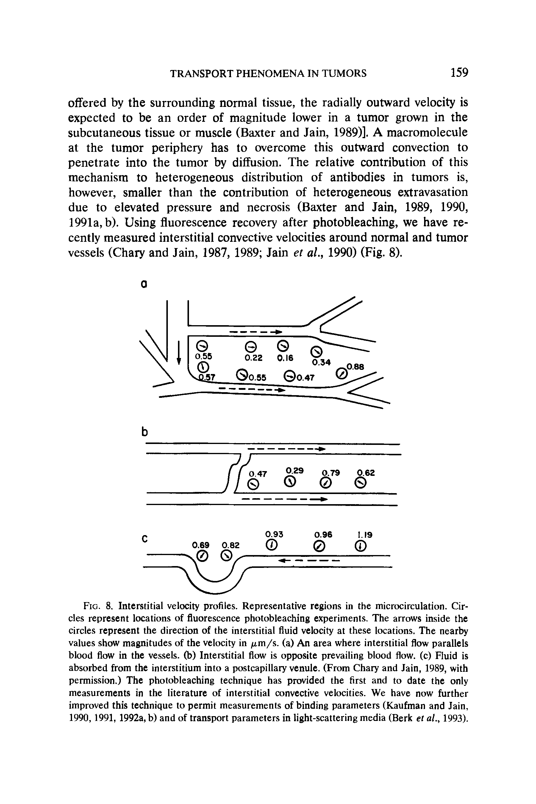 Fig. 8. Interstitial velocity profiles. Representative regions in the microcirculation. Circles represent locations of fluorescence photobleaching experiments. The arrows inside the circles represent the direction of the interstitial fluid velocity at these locations. The nearby values show magnitudes of the velocity in fim/s. (a) An area where interstitial flow parallels blood flow in the vessels, (b) Interstitial flow is opposite prevailing blood flow, (c) Fluid is absorbed from the interstitium into a postcapillary venule. (From Chary and Jain, 1989, with permission.) The photobleaching technique has provided the first and to date the only measurements in the literature of interstitial convective velocities. We have now further improved this technique to permit measurements of binding parameters (Kaufman and Jain, 1990, 1991, 1992a, b) and of transport parameters in light-scattering media (Berk et al., 1993).