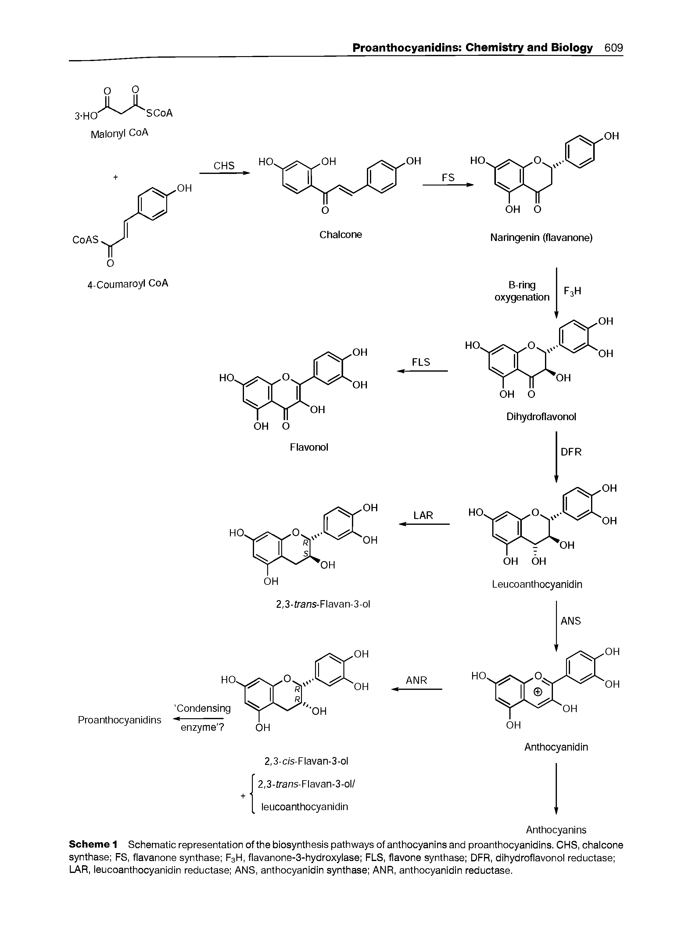 Scheme 1 Schematic representation ofthe biosynthesis pathways of anthocyanins and proanthocyanidins. CHS, chalcone synthase FS, flavanone synthase F3H, flavanone-3-hydroxylase FLS, flavone synthase DFR, dihydroflavonol reductase LAR, leucoanthocyanidin reductase ANS, anthocyanidin synthase ANR, anthocyanidin reductase.