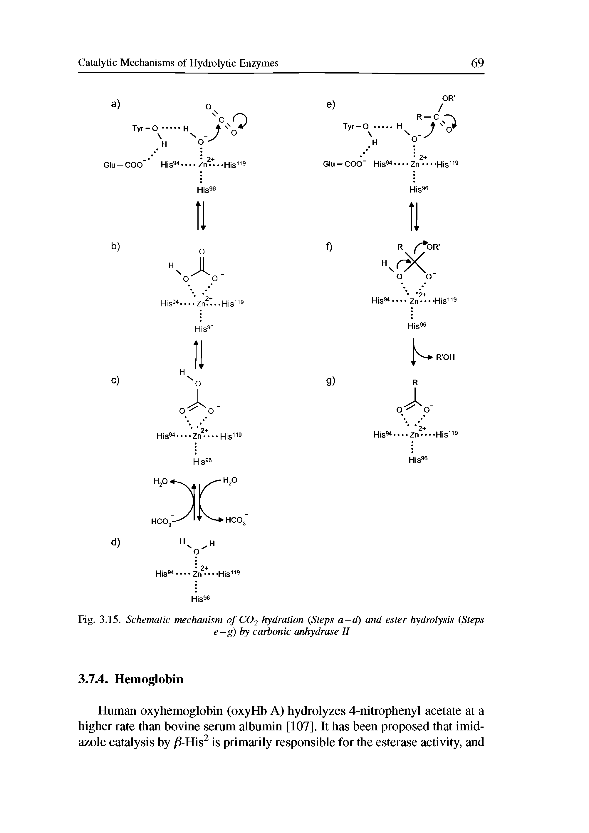 Fig. 3.15. Schematic mechanism of CO2 hydration (Steps a-d) and ester hydrolysis (Steps...