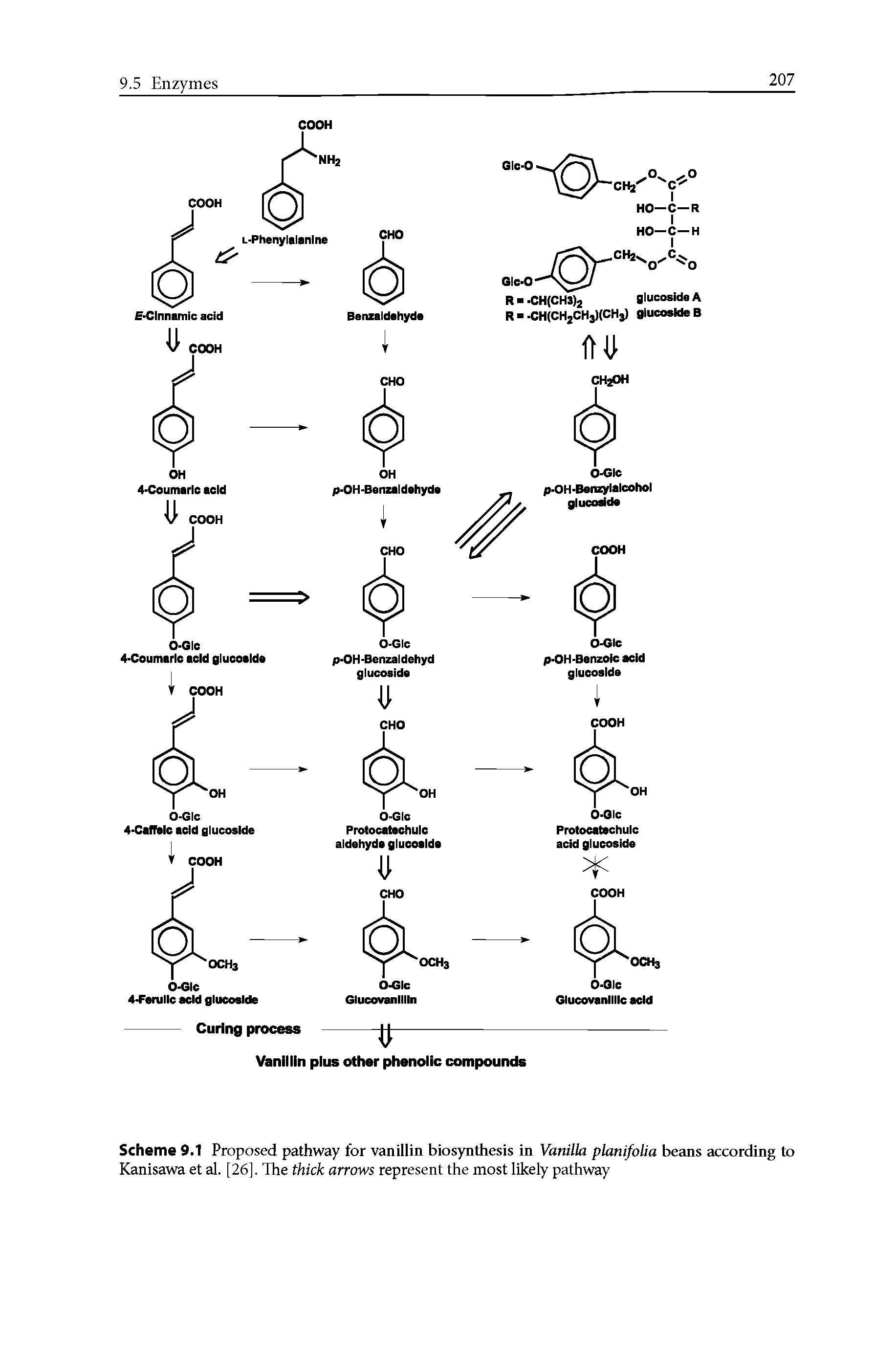 Scheme 9.1 Proposed pathway for vanillin biosynthesis in Vanilla planifolia beans according to Kanisawa et al. [26]. The thick arrows represent the most likely pathway...
