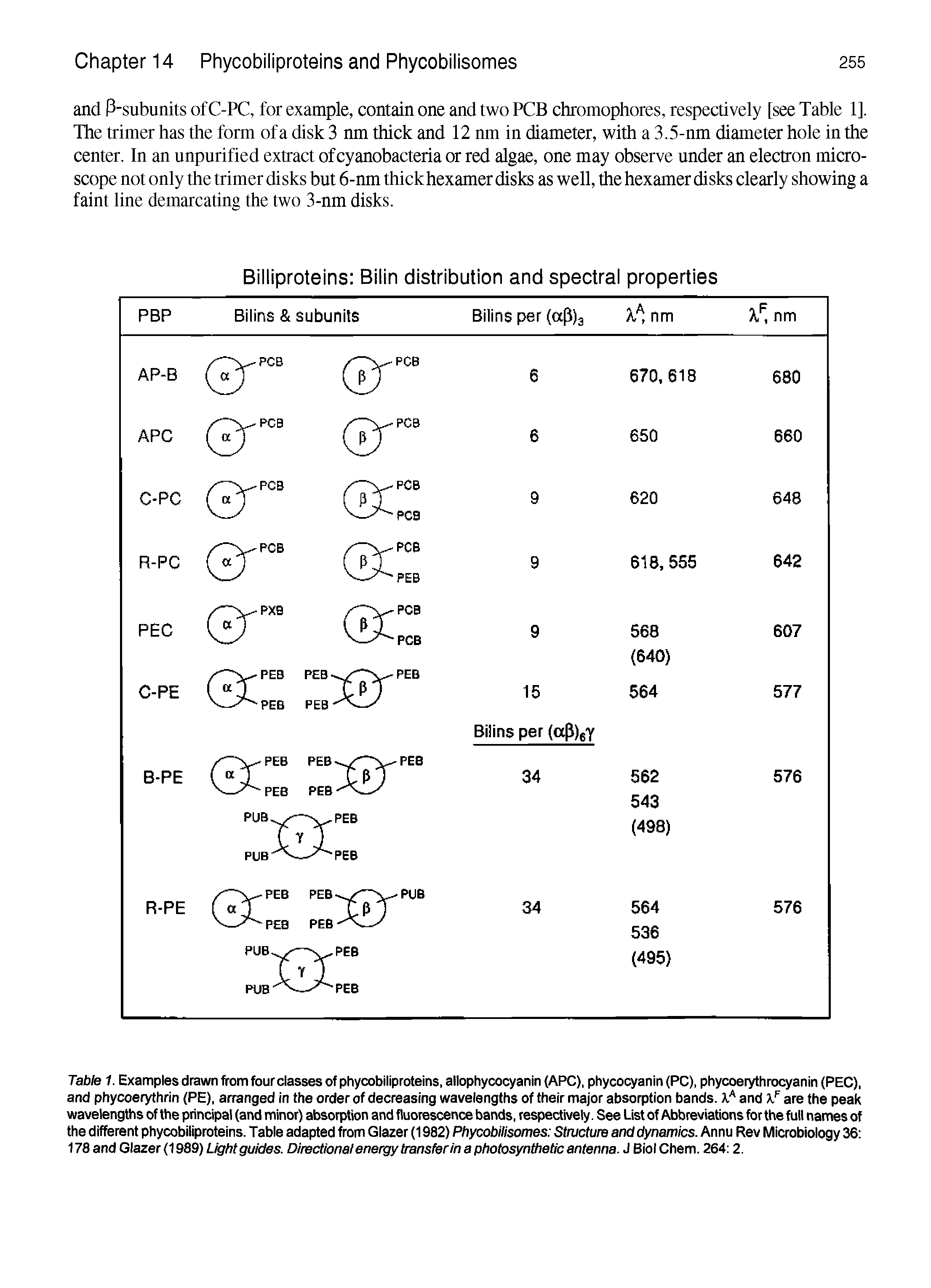 Table 1. Examples drawn from four classes of phycobiliproteins, allophycocyanin (APC), phycocyanin (PC), phycoerythrocyanin (PEC), and phycoerythrin (PE), arranged in the order of decreasing wavelengths of their major absorption bands. and x " are the peak wavelengths of the principal (and minor) absorption and fluorescence bands, respectively. See List of Abbreviations for the full names of the different phycobiliproteins. Table adapted from Glazer (1982) Phycobilisomes Structure and dynamics. Annu Rev Microbiology 36 178 and Glazer (1989) Light guides. Directionai energy transfer in a photosynthetic antenna. J Biol Chem. 264 2.