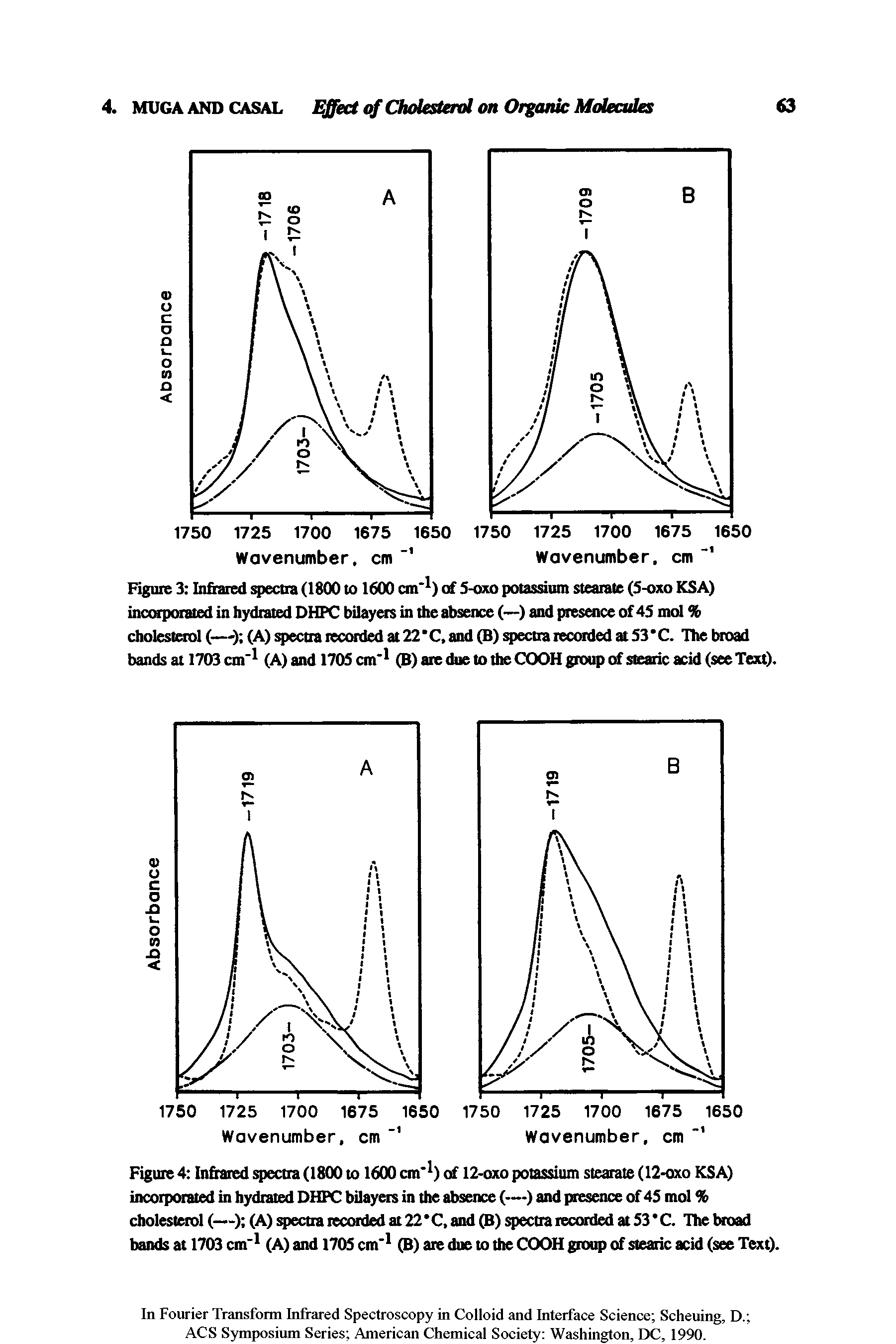 Figure 3 Infrared spectra (1800 to 1600 cm 1) of 5-oxo potassium stearate (5-oxo KSA) incorporated in hydrated DHPC bilayers in the absence (—) and presence of 45 mol % cholesterol (—) (A) spectra recorded at 22 C, and (B) spectra recorded at 53 C. The broad bands at 1703 cm 1 (A) and 1705 cm 1 (B) are due to the COOH group of stearic acid (see Text).