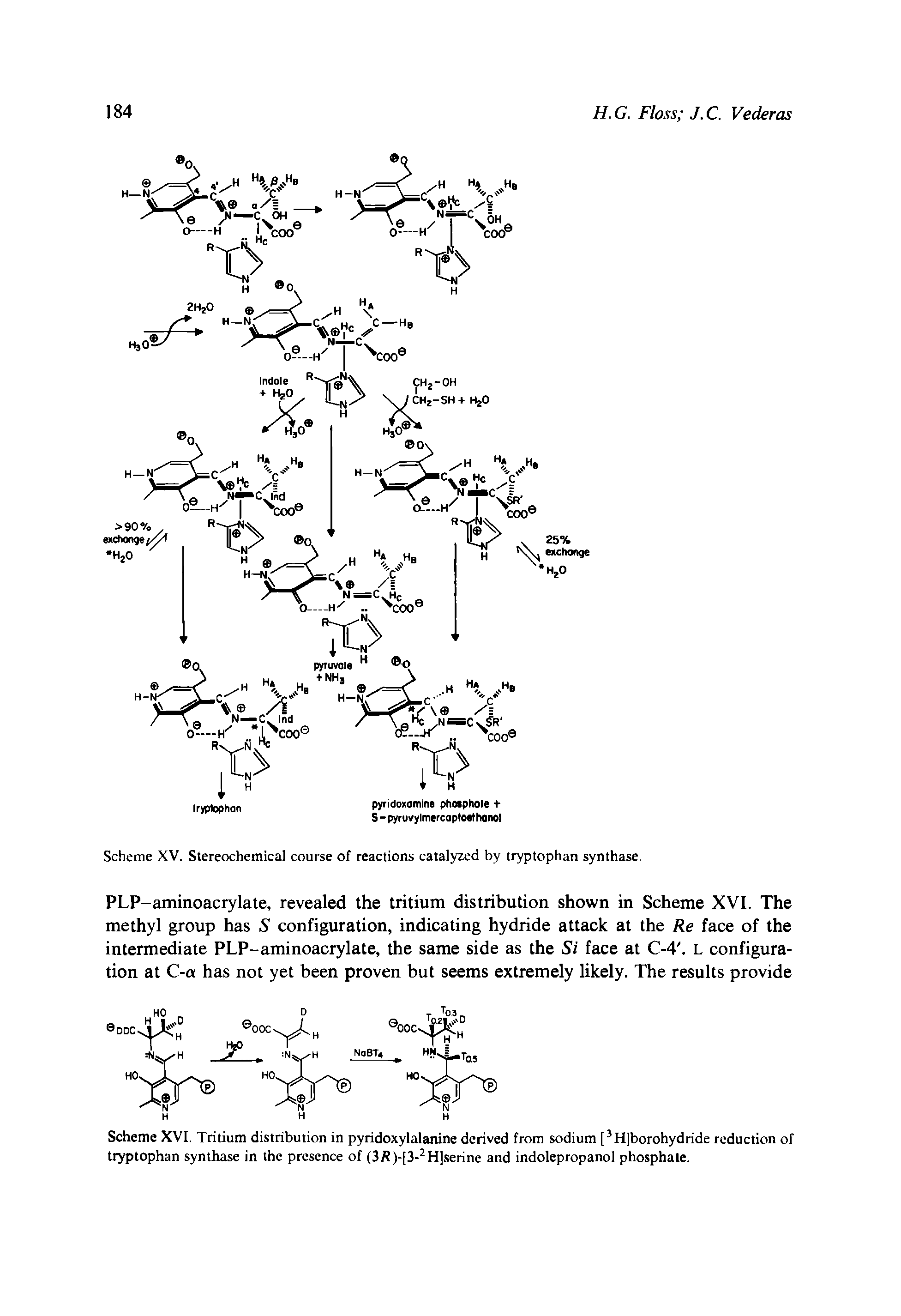 Scheme XV. Stereochemical course of reactions catalyzed by tryptophan synthase.