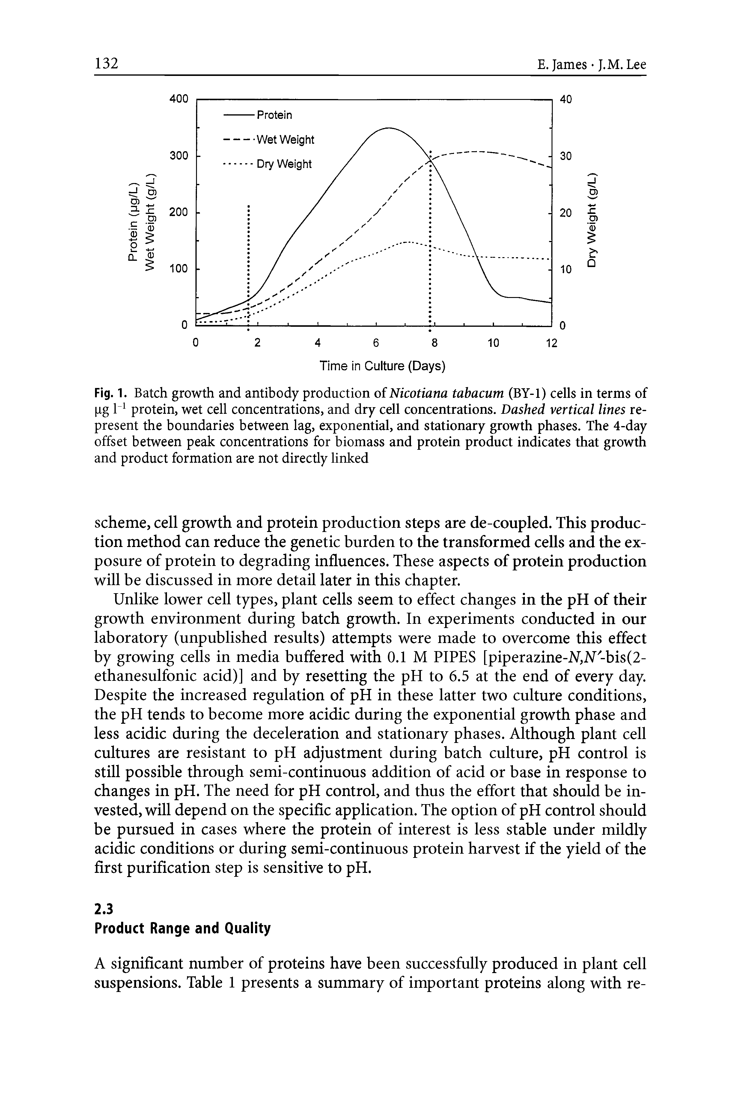 Fig. 1. Batch growth and antibody production of Nicotiana tabacum (BY-1) cells in terms of pg 1 1 protein, wet cell concentrations, and dry cell concentrations. Dashed vertical lines represent the boundaries between lag, exponential, and stationary growth phases. The 4-day offset between peak concentrations for biomass and protein product indicates that growth and product formation are not directly linked...