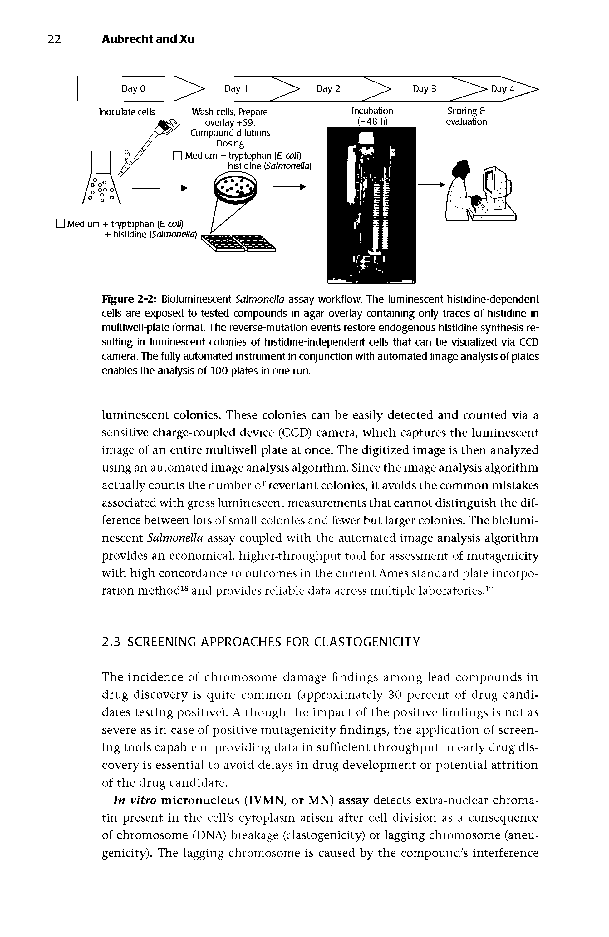 Figure 2-2 Bioluminescent Salmonella assay workflow. The luminescent histidine-dependent cells are exposed to tested compounds in agar overlay containing only traces of histidine in multiwell-plate format. The reverse-mutation events restore endogenous histidine synthesis resulting in luminescent colonies of histidine-independent cells that can be visualized via CCD camera. The fully automated instrument in conjunction with automated image analysis of plates enables the analysis of 100 plates in one run.