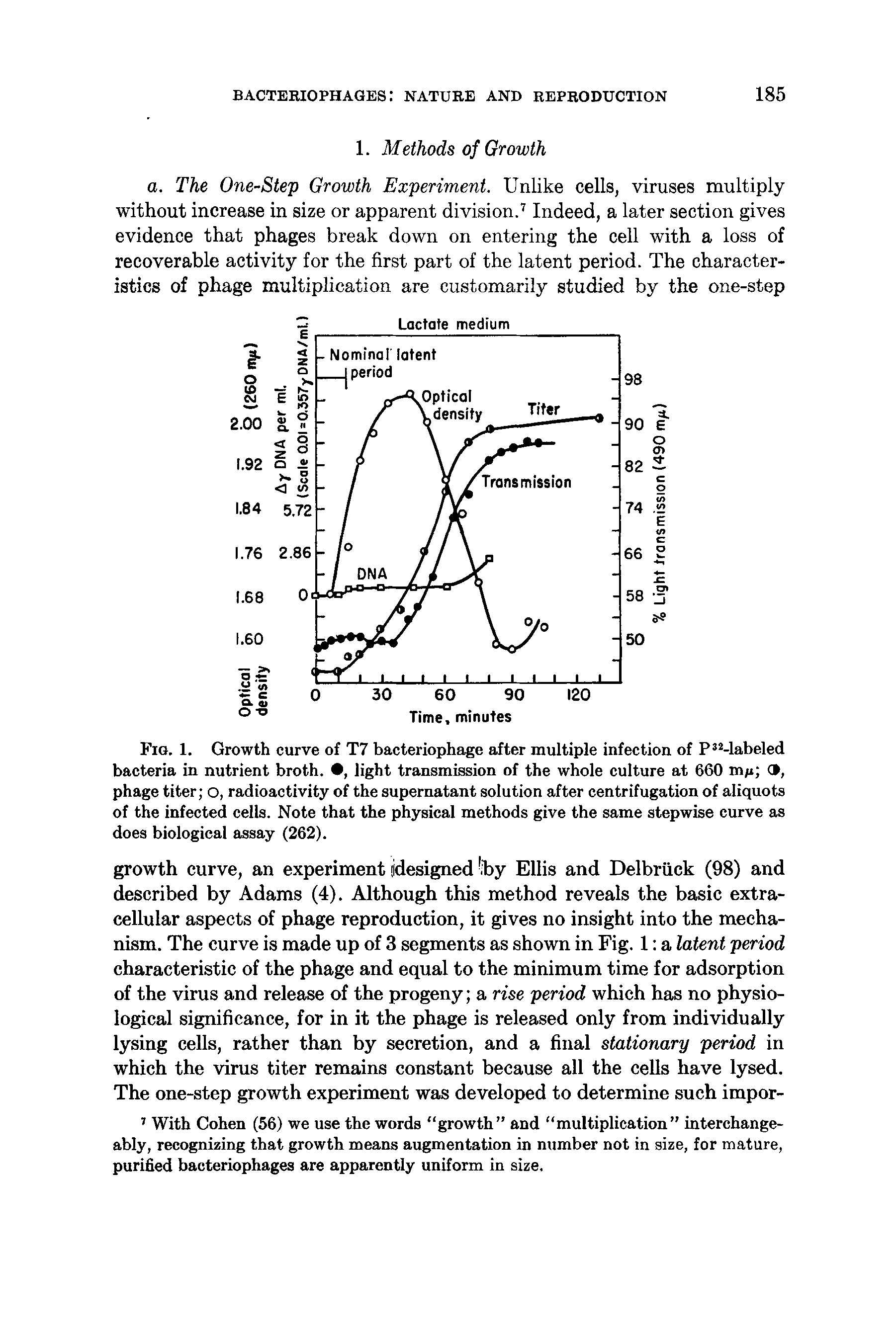 Fig. 1. Growth curve of T7 bacteriophage after multiple infection of P Mabeled bacteria in nutrient broth. , light transmission of the whole culture at 660 m , phage titer o, radioactivity of the supernatant solution after centrifugation of aliquots of the infected cells. Note that the physical methods give the same stepwise curve as does biological assay (262).