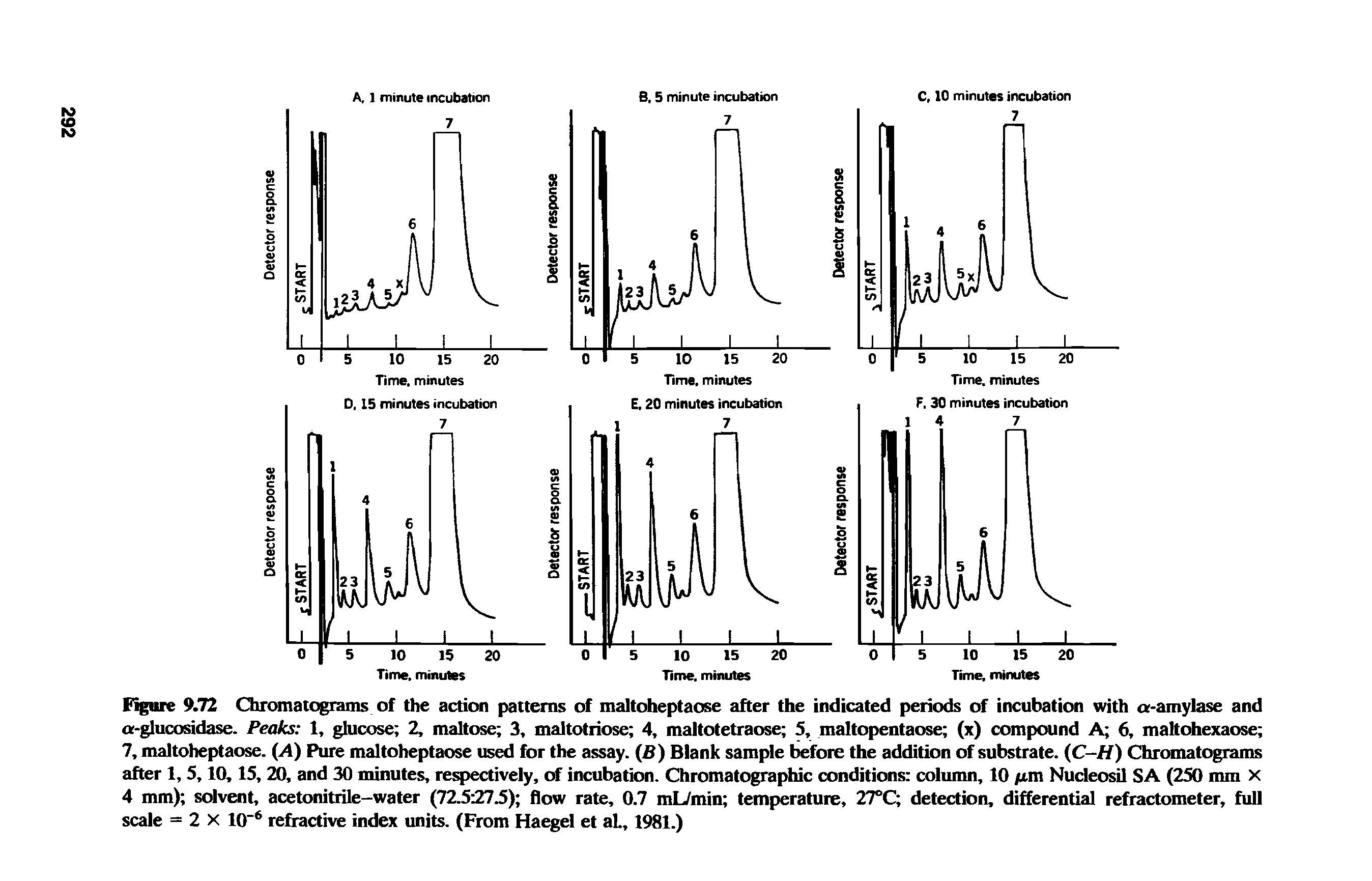 Figure 9.72 Chromatograms of the action patterns of maltoheptaose after the indicated periods of incubation with a-amylase and a-glucosidase. Peaks 1, glucose 2, maltose 3, maltotriose 4, maltotetraose 5, maltopentaose (x) compound A 6, maltohexaose 7, maltoheptaose. (A) Pure maltoheptaose used for the assay. (B) Blank sample before the addition of substrate. (C-H) Chromatograms after 1, 5, 10,15, 20, and 30 minutes, respectively, of incubation. Chromatographic conditions column, 10 jum Nucleosil SA (250 mm X 4 mm) solvent, acetonitrile-water (72.527.5) flow rate, 0.7 mL/min temperature, 27°C detection, differential refractometer, full scale = 2 X 10-6 refractive index units. (From Haegel et aL, 1981.)...