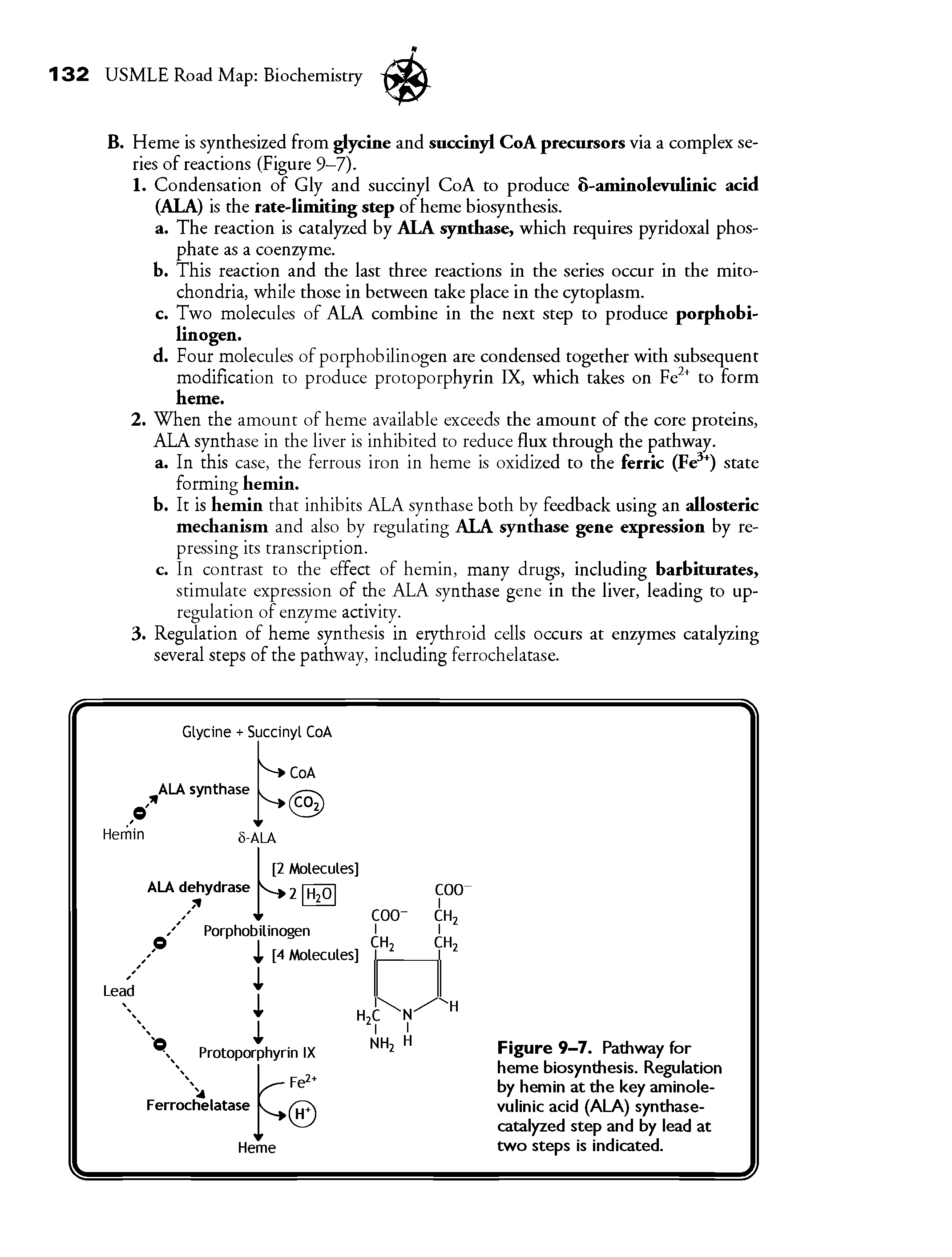 Figure 9-7. Pathway for heme biosynthesis. Regulation by hemin at the key aminolevulinic acid (ALA) synthase-catalyzed step and by lead at two steps is indicated.