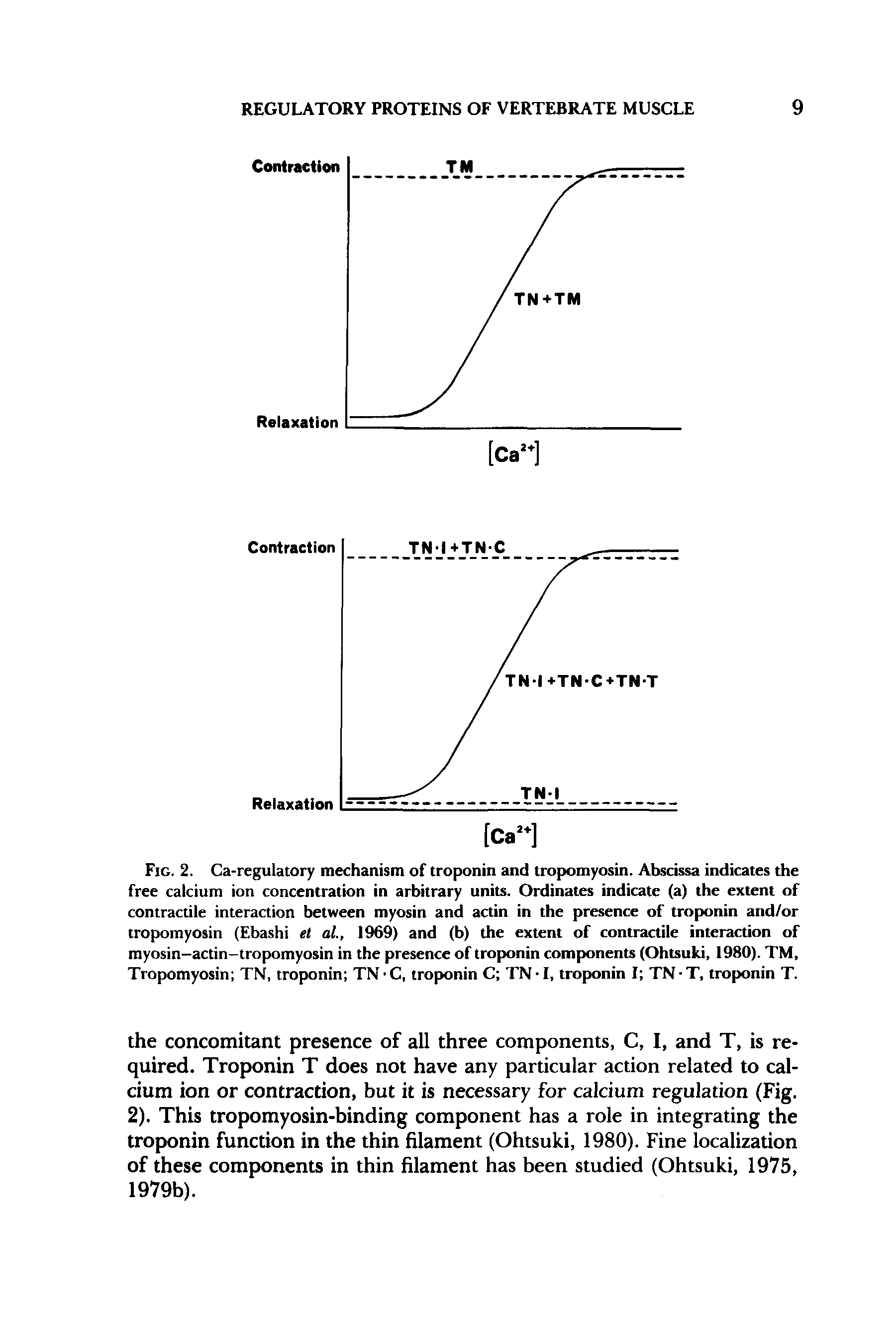 Fig. 2. Ca-regulatory mechanism of troponin and tropomyosin. Abscissa indicates the free calcium ion concentration in arbitrary units. Ordinates indicate (a) the extent of contractile interaction between myosin and actin in the presence of troponin and/or tropomyosin (Ebashi et al, 1969) and (b) the extent of contractile interaction of myosin-actin-tropomyosin in the presence of troponin components (Ohtsuki, 1980). TM, Tropomyosin TN, troponin TN -C, troponin C TN-I, troponin I TN-T, troponin T.