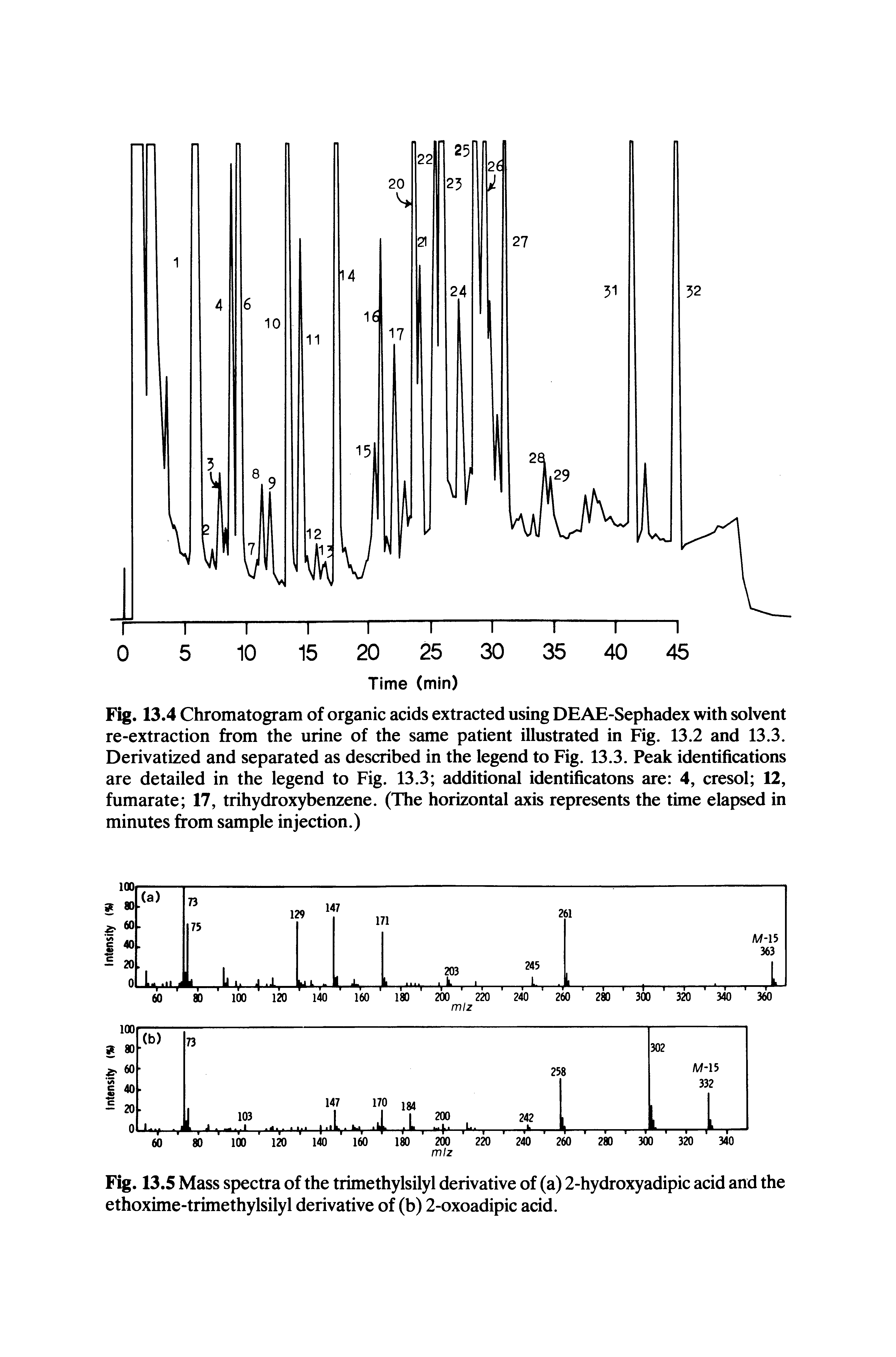 Fig. 13.5 Mass spectra of the trimethylsilyl derivative of (a) 2-hydroxyadipic acid and the ethoxime-trimethylsilyl derivative of (b) 2-oxoadipic acid.