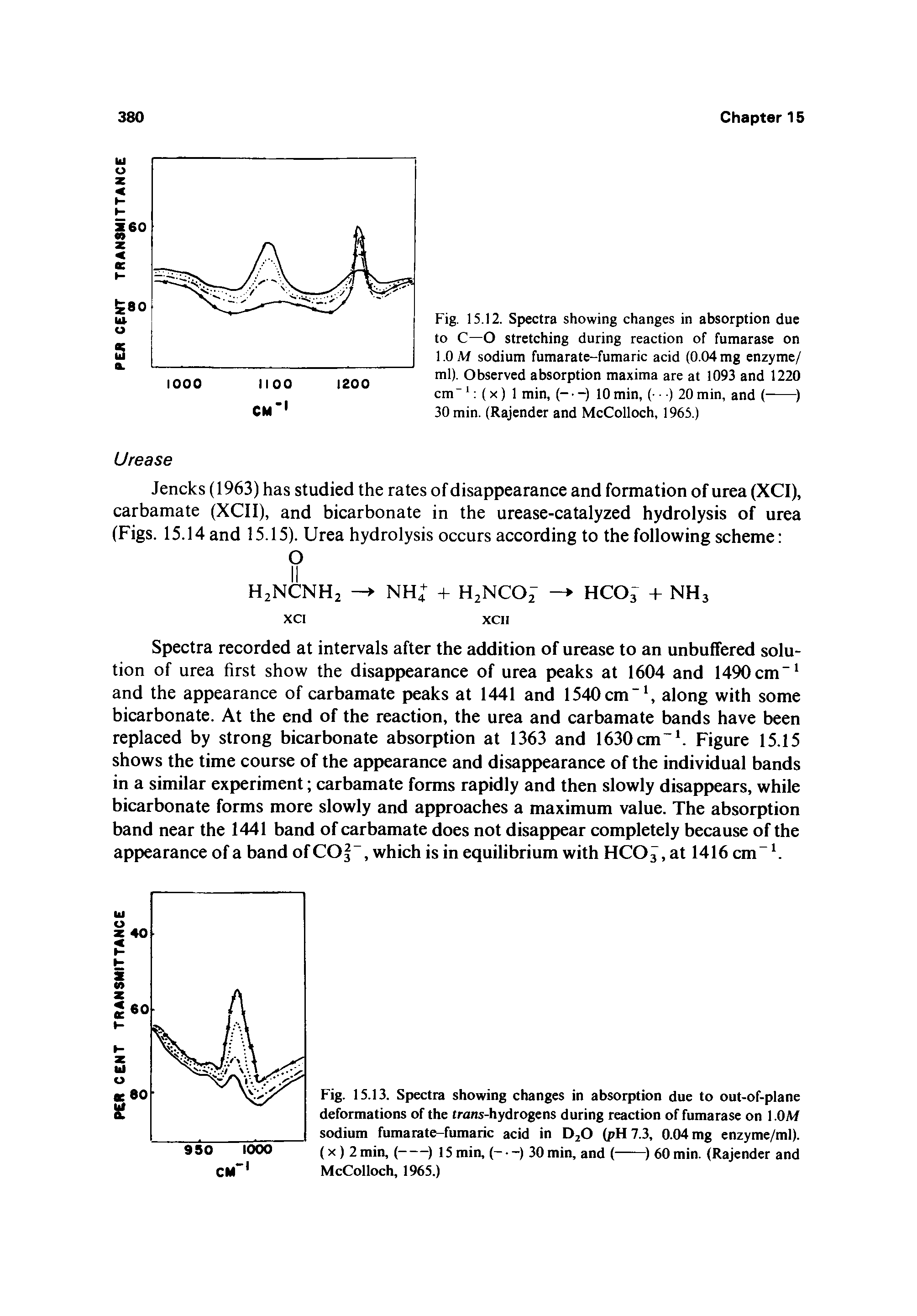Fig. 15.13. Spectra showing changes in absoqition due to out-of-plane deformations of the trans-hydrogens during reaction of fumarase on l.OM sodium fumarate-fumaric acid in DjO (pH 7.3, 0.04 mg enzyme/ml).