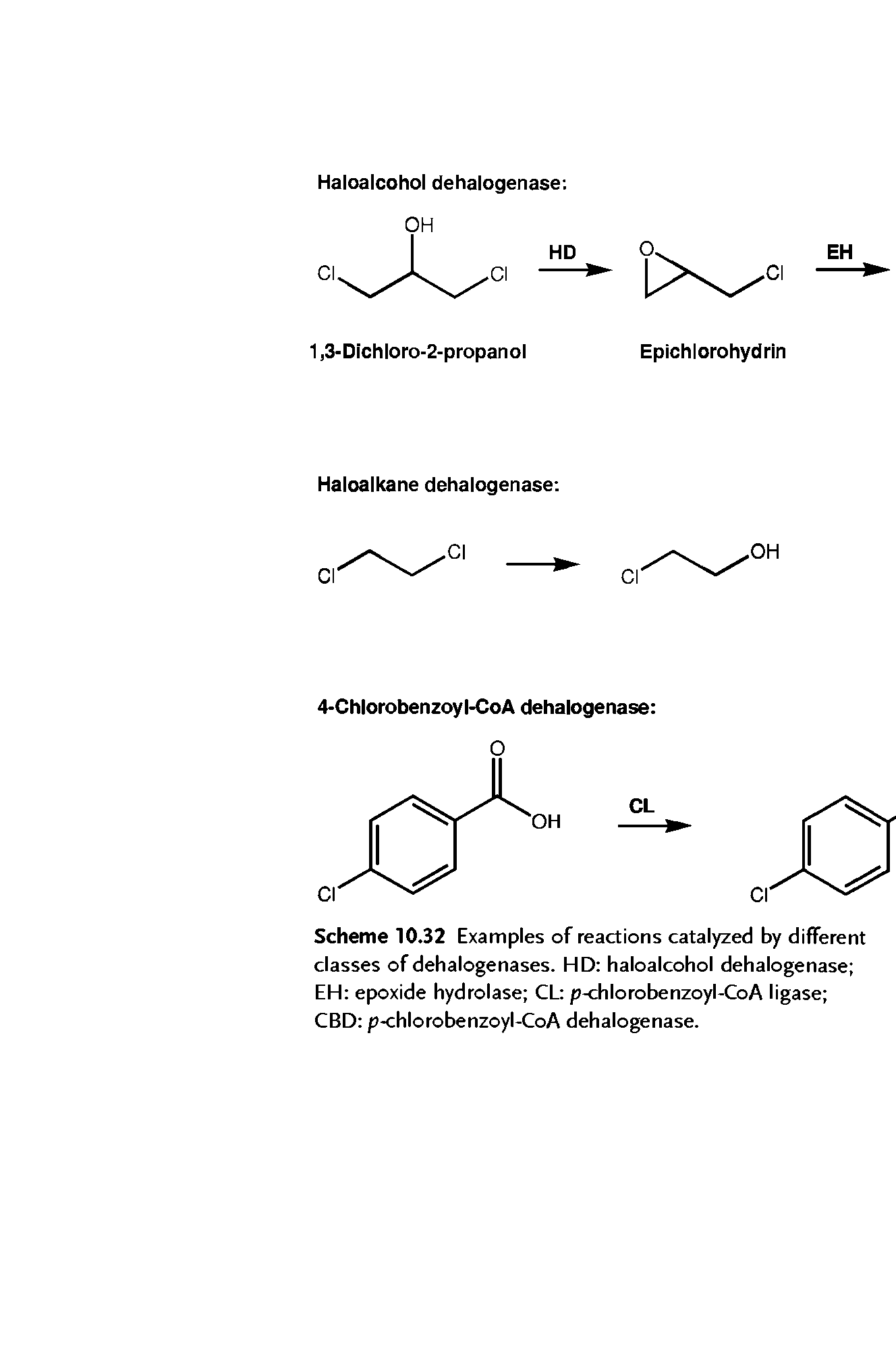 Scheme 10.32 Examples of reactions catalyzed by different classes of dehalogenases. HD haloalcohol dehalogenase EH epoxide hydrolase CL p-chlorobenzoyl-CoA ligase CBD p-chlorobenzoyl-CoA dehalogenase.