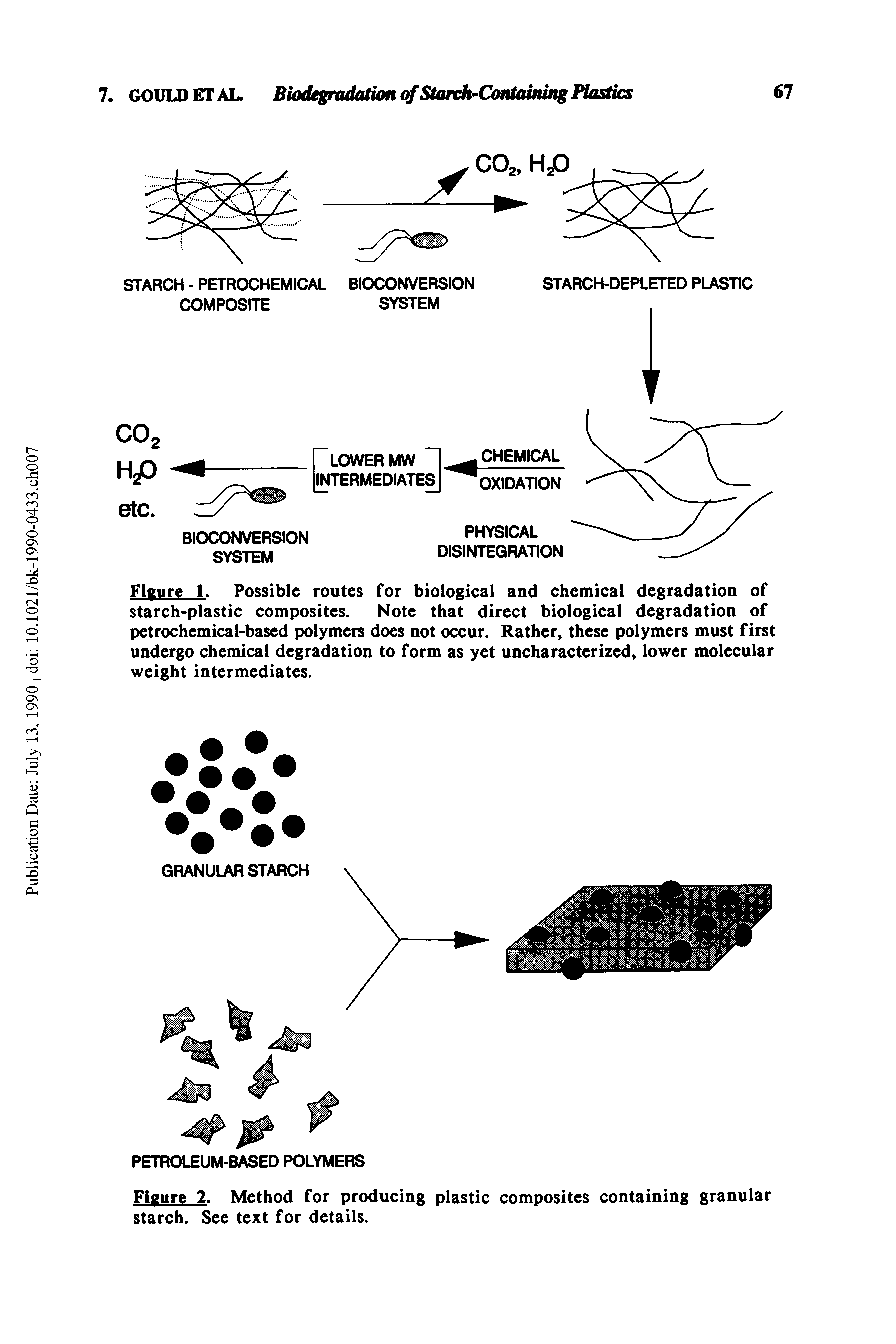 Figure 1. Possible routes for biological and chemical degradation of starch-plastic composites. Note that direct biological degradation of petrochemical-based polymers does not occur. Rather, these polymers must first undergo chemical degradation to form as yet uncharacterized, lower molecular weight intermediates.