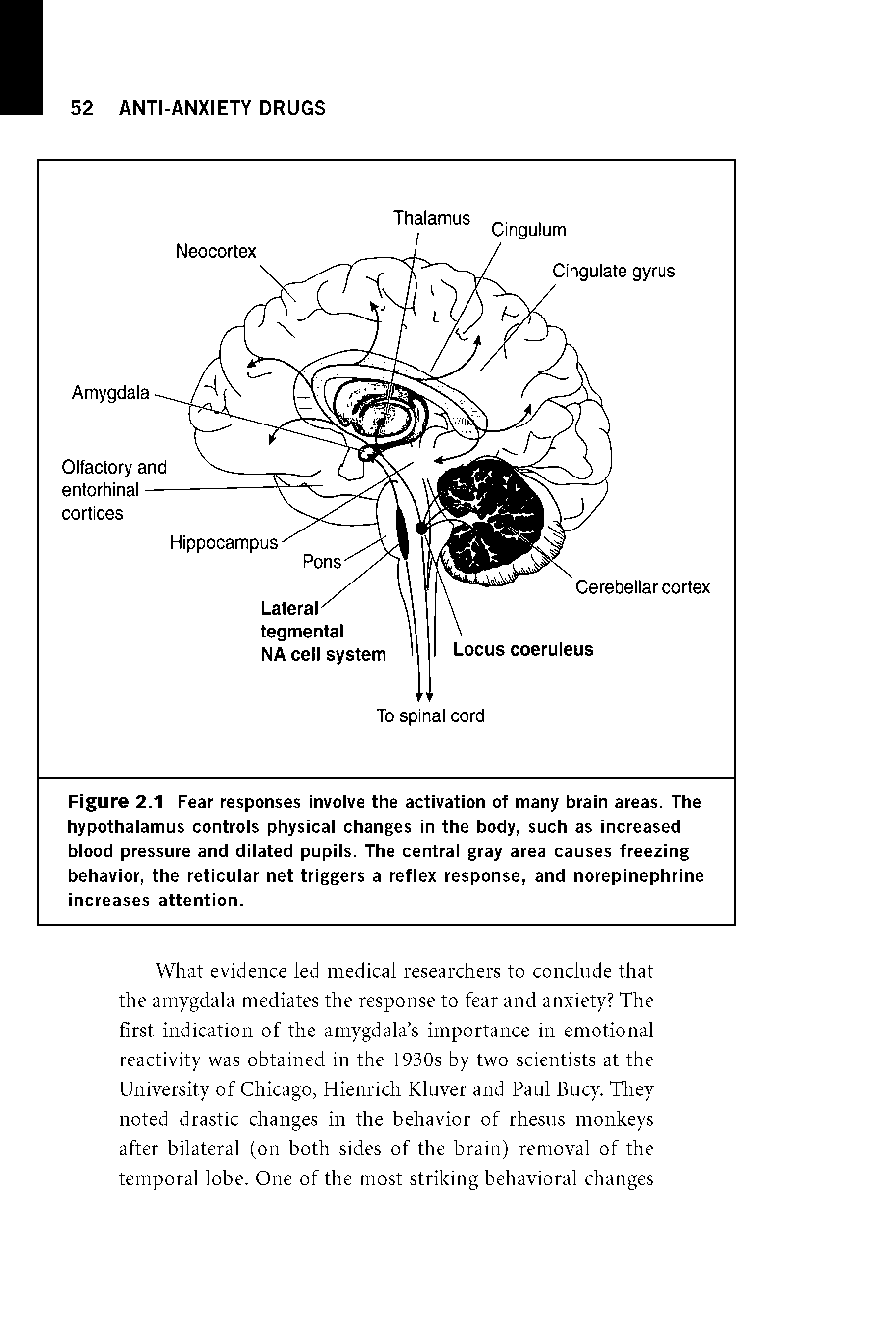 Figure 2.1 Fear responses involve the activation of many brain areas. The hypothalamus controls physical changes in the body, such as increased blood pressure and dilated pupils. The central gray area causes freezing behavior, the reticular net triggers a reflex response, and norepinephrine increases attention.