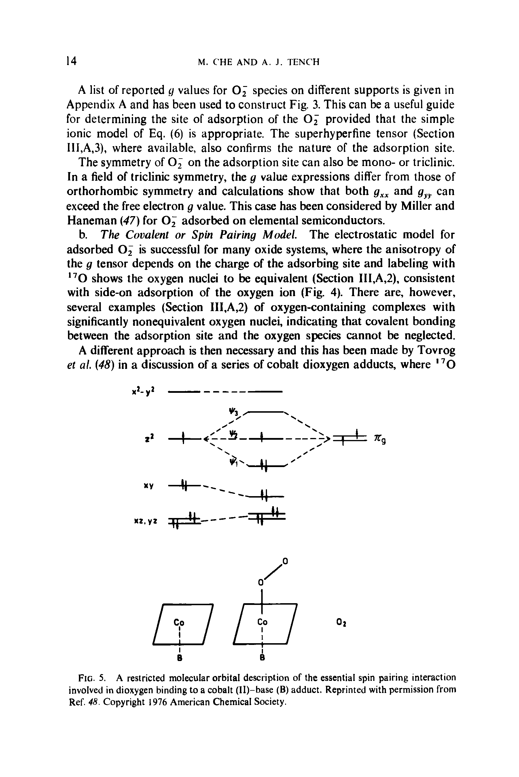Fig. 5. A restricted molecular orbital description of the essential spin pairing interaction involved in dioxygen binding to a cobalt (Il)-base (B) adduct. Reprinted with permission from Ref. 48. Copyright 1976 American Chemical Society.
