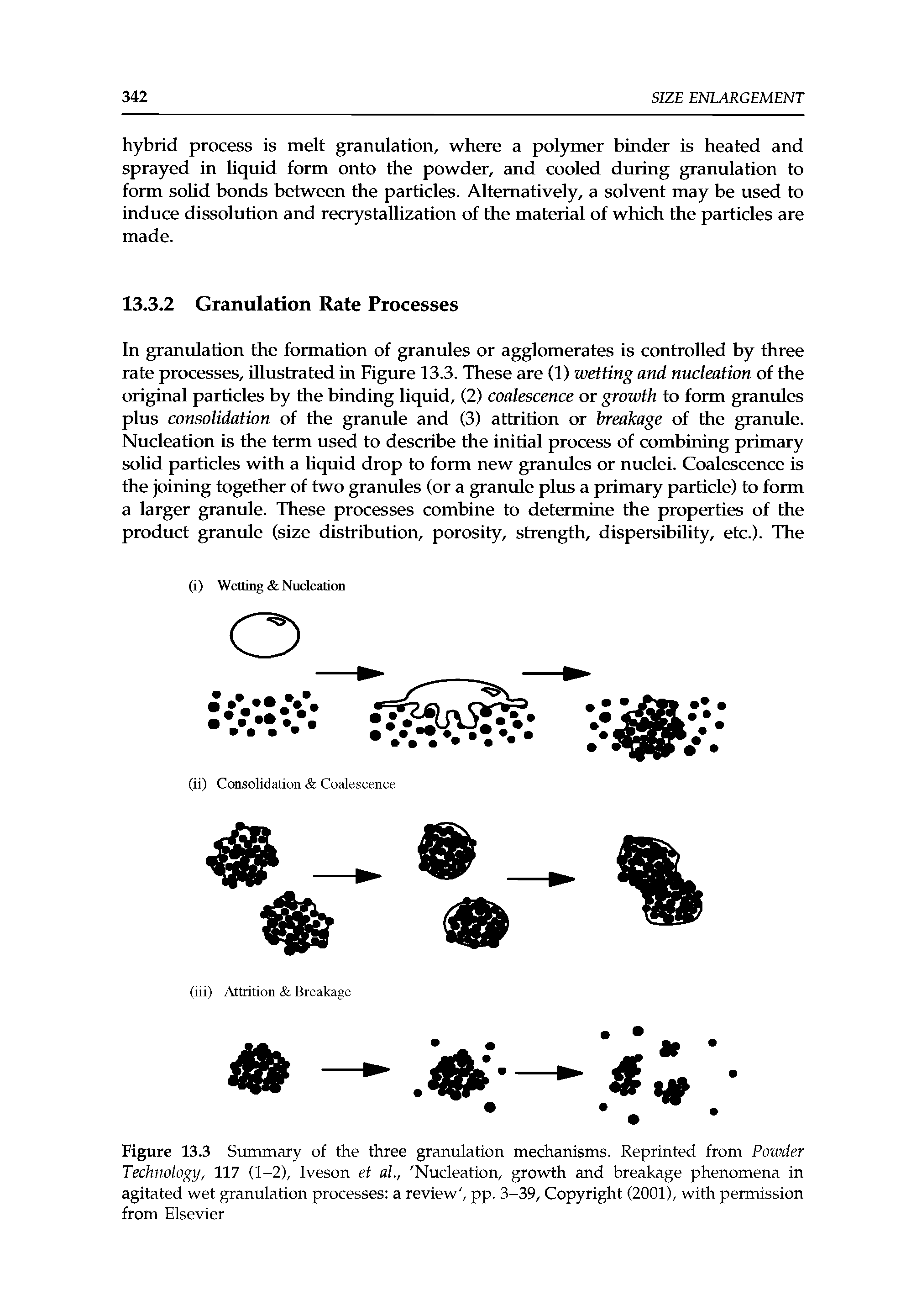 Figure 13.3 Summary of the three granulation mechanisms. Reprinted from Powder Technology, 117 (1-2), Iveson et ah, Nucleation, growth and breakage phenomena in agitated wet granulation processes a review, pp. 3-39, Copyright (2001), with permission from Elsevier...