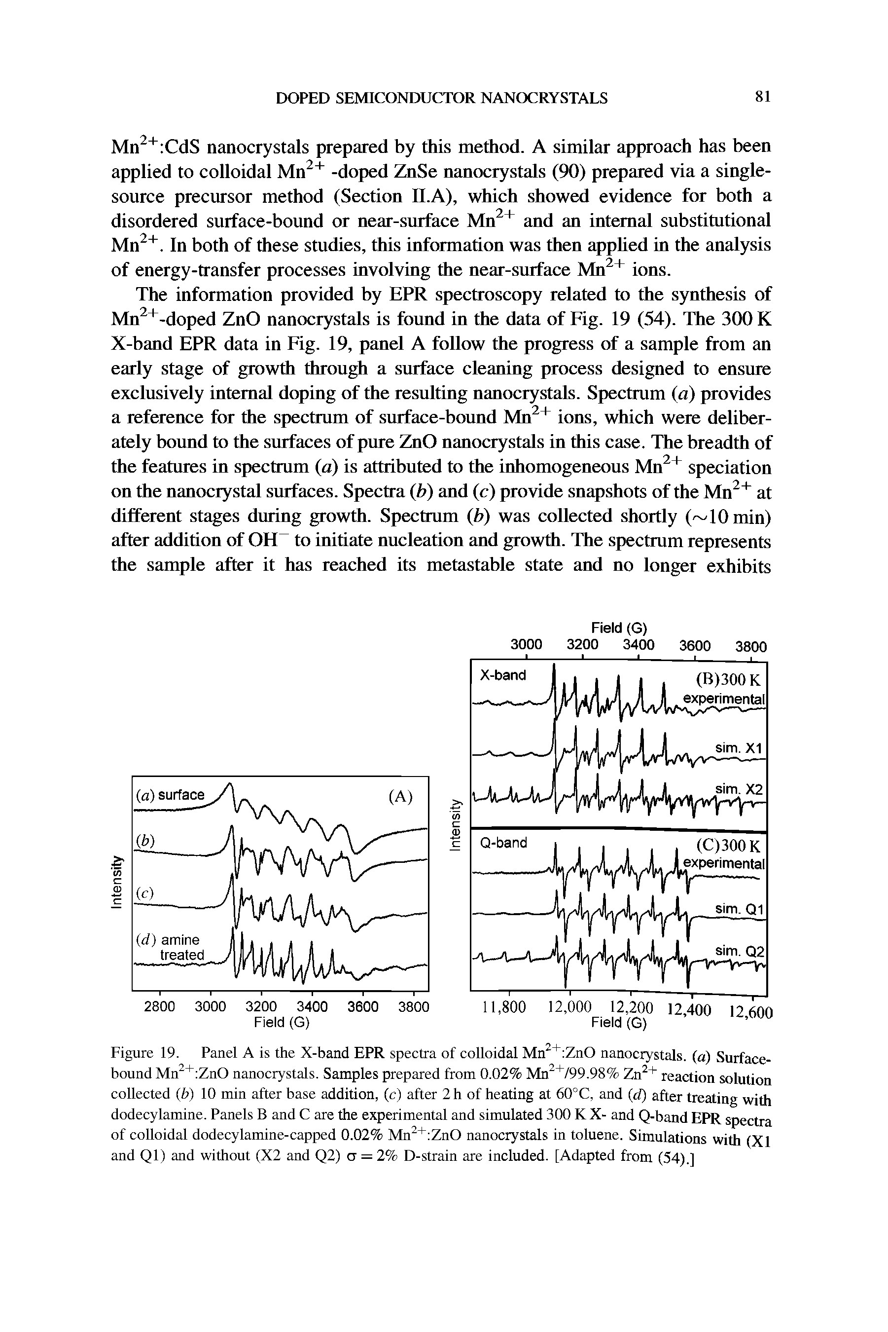 Figure 19. Panel A is the X-band EPR spectra of colloidal Mn2+ ZnO nanocrystals, (a) Surface-bound Mn2+ ZnO nanocrystals. Samples prepared from 0.02% Mn2+/99.98% Zn2+ reaction solution collected (b) 10 min after base addition, (c) after 2 h of heating at 60°C, and (d) after treating with dodecylamine. Panels B and C are the experimental and simulated 300 K X- and Q-band EPR spectra of colloidal dodecylamine-capped 0.02% Mn2+ ZnO nanocrystals in toluene. Simulations with (XI and Ql) and without (X2 and Q2) a = 2% D-strain are included. [Adapted from (54).]...