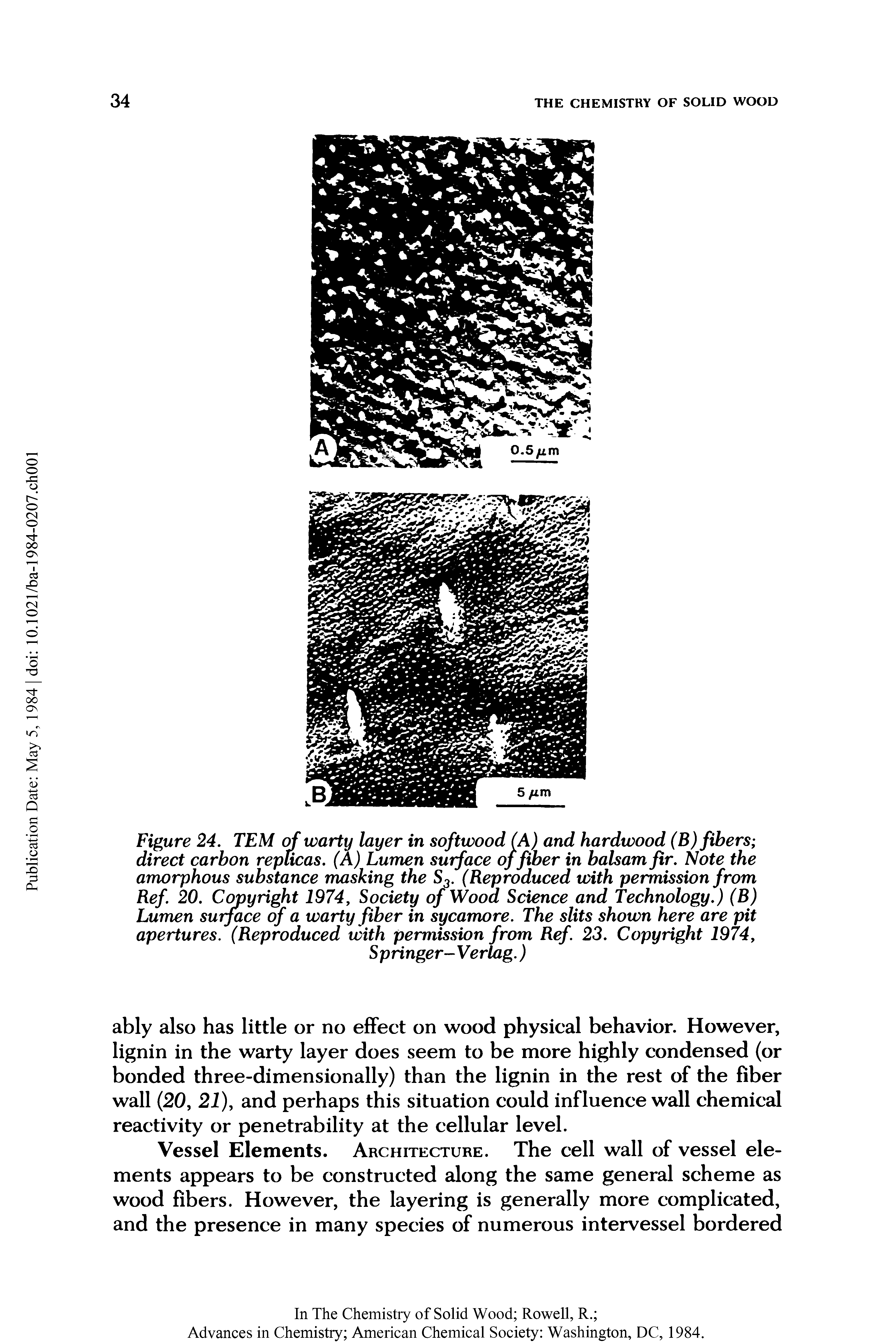 Figure 24. TEM of warty layer in softwood (A) and hardwood (B) fibers direct carbon replicas. (A) Lumen surface of fiber in balsam fir. Note the amorphous substance masking the S3. (Reproduced with permission from Ref. 20. Copyright 1974, Society of Wood Science and Technology.) (B) Lumen surface of a warty fiber in sycamore. The slits shown here are pit apertures. (Reproduced with permission from Ref 23. Copyright 1974,...