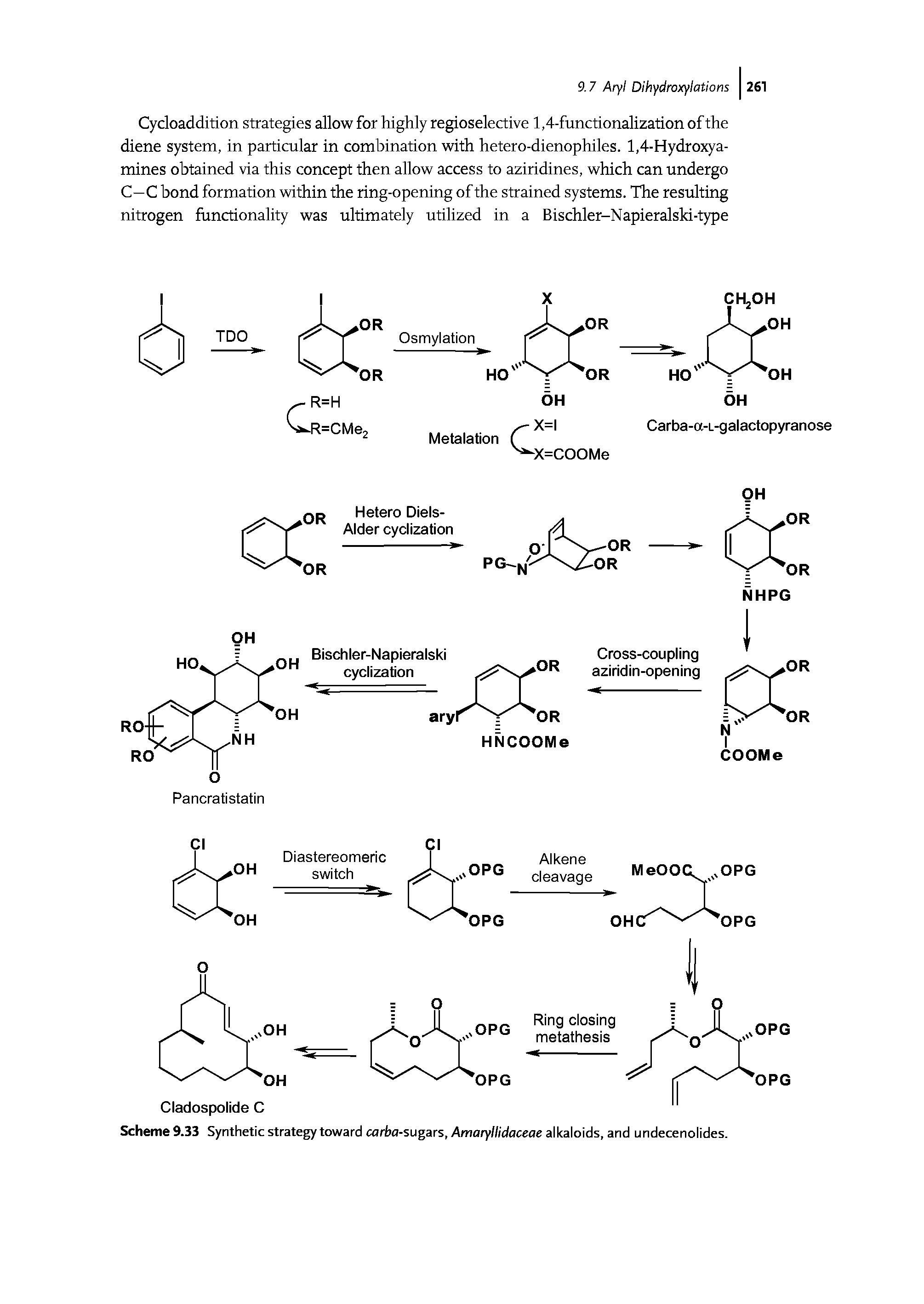 Scheme 9.33 Synthetic strategy toward carba-sugars, Amaryllidaceae alkaloids, and undecenolides.