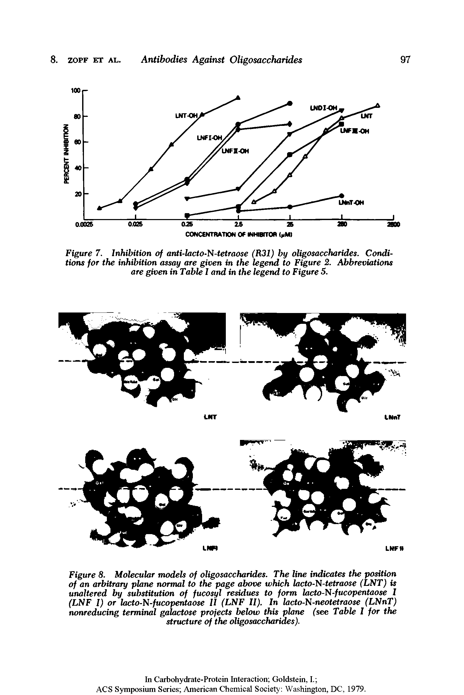 Figure 8. Molecular models of oligosaccharides. The line indicates the position of an arbitrary plane normal to the page above which lacto-N-tetraose (LNT) is unaltered by substitution of fucosyl residues to form lacto-N-fucopentaose I (LNF I) or lacto-N-fucopentaose II (LNF II). In lacto-N-neotetraose (LNnT) nonreducing terminal galactose projects below this plane (see Table I for the structure of the oligosaccharides).