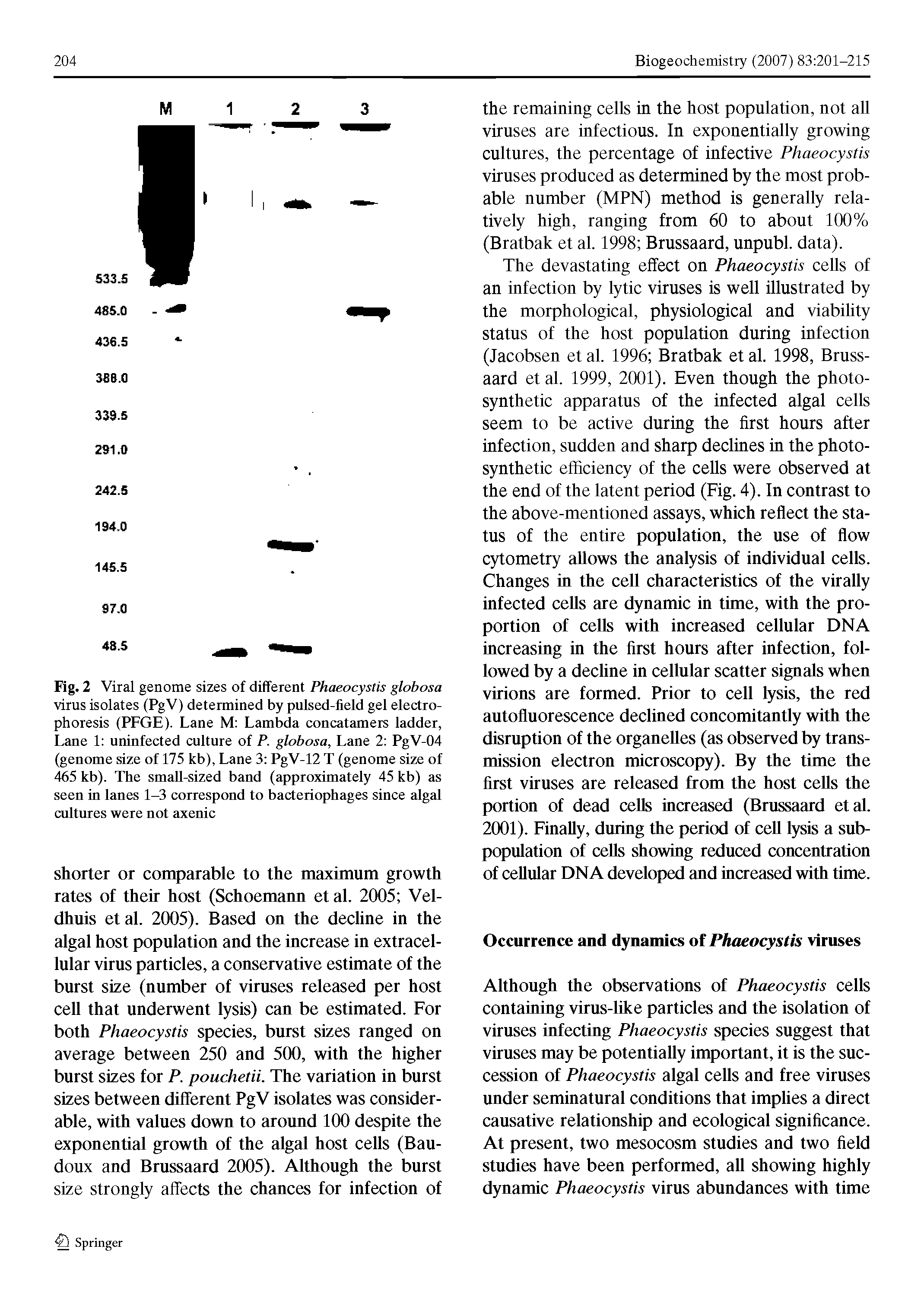 Fig. 2 Viral genome sizes of different Phaeocystis globosa virus isolates (PgV) determined by pulsed-field gel electrophoresis (PFGE). Lane M Lambda concatamers ladder, Lane 1 uninfected culture of P. globosa, Lane 2 PgV-04 (genome size of 175 kb), Lane 3 PgV-12 T (genome size of 465 kb). The small-sized band (approximately 45 kb) as seen in lanes 1-3 correspond to bacteriophages since algal cultures were not axenic...