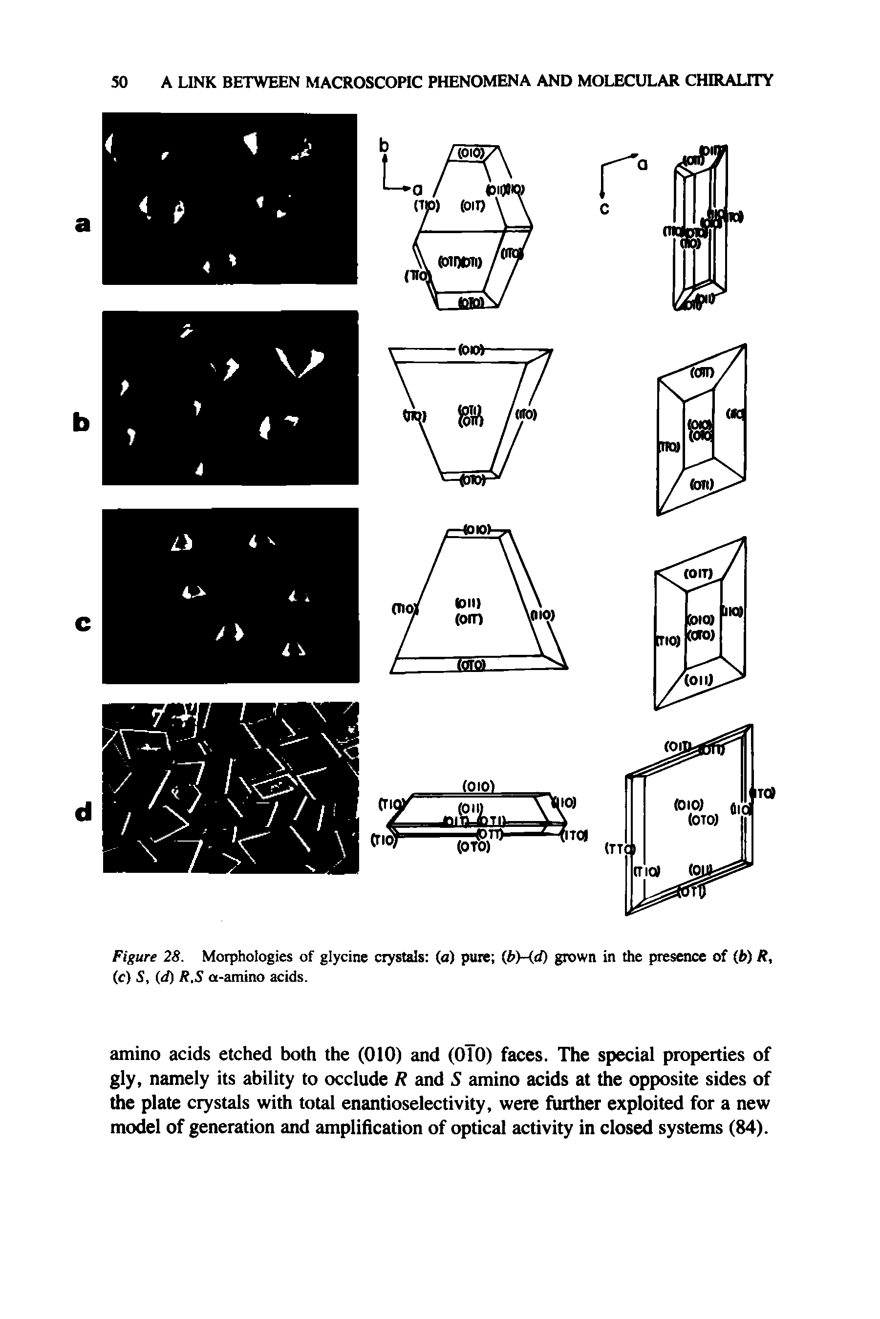 Figure 28. Morphologies of glycine crystals (a) pure (b)-(d) grown in the presence of (I>) R, (c) S, (d) R.S a-amino acids.