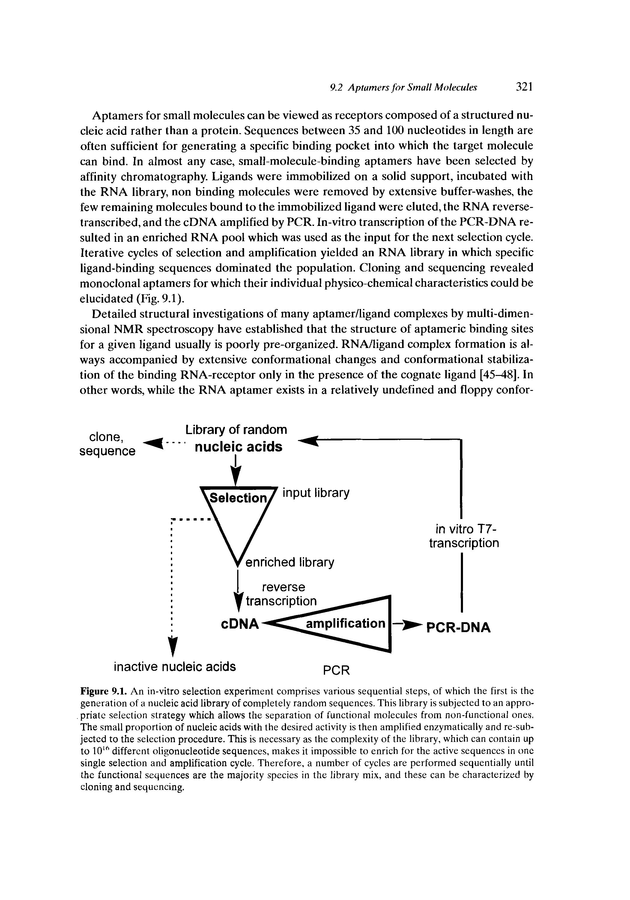 Figure 9.1. An in-vitro selection experiment comprises various sequential steps, of which the first is the generation of a nucleic acid library of completely random sequences. This library is subjected to an appro-. priatc selection strategy which allows the separation of functional molecules from non-functional ones. The small proportion of nucleic acids with the desired activity is then amplified enzymatically and re-suh-jected to the selection procedure. This is necessary as the complexity of the library, which can contain up to 1016 different oligonucleotide sequences, makes it impossible to enrich for the active sequences in one single selection and amplification cycle. Therefore, a number of cycles are performed sequentially until the functional sequences are the majority species in the library mix, and these can be characterized by cloning and sequencing.