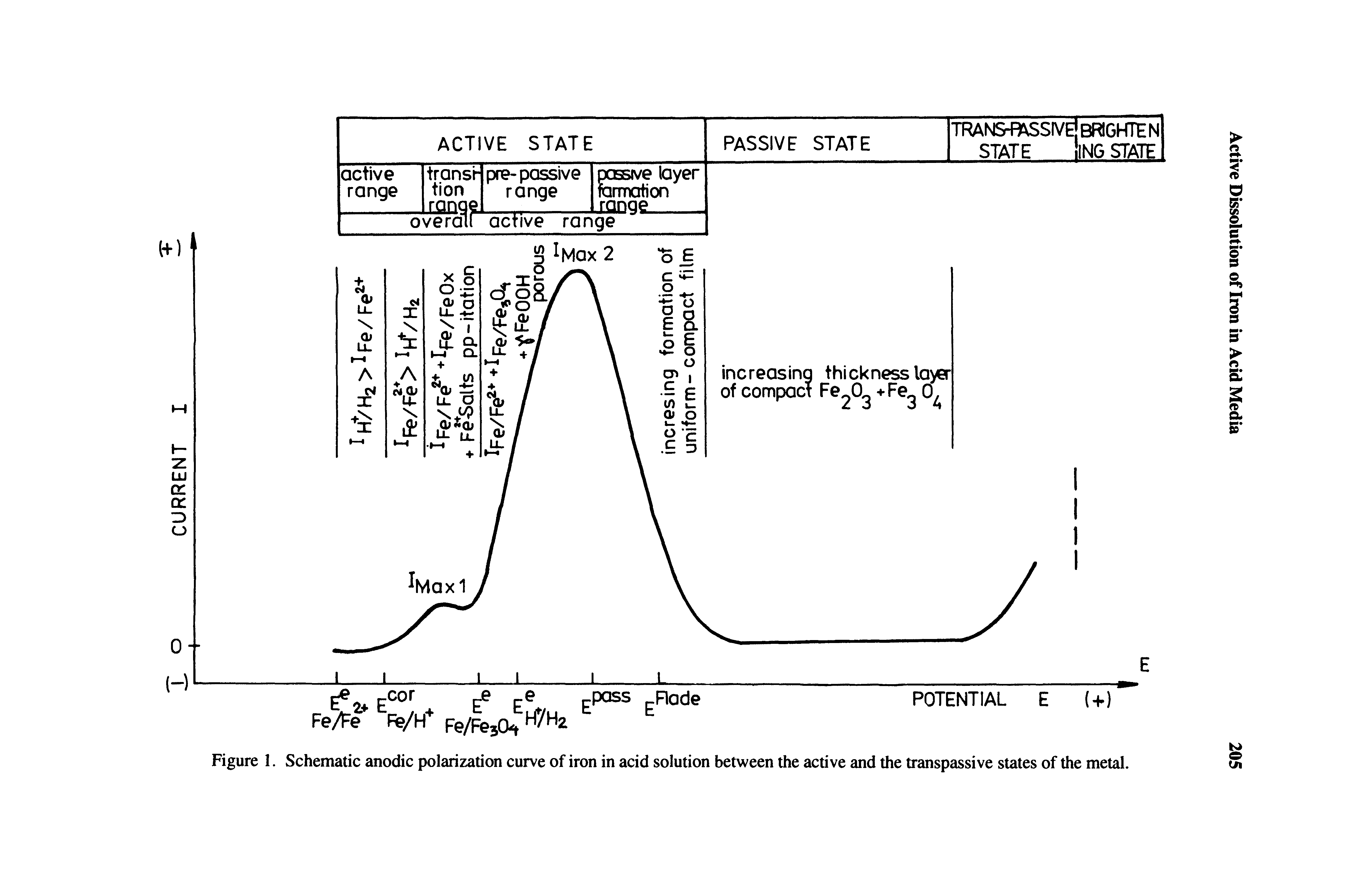 Figure 1. Schematic anodic polarization curve of iron in acid solution between the active and the transpassive states of the metal.