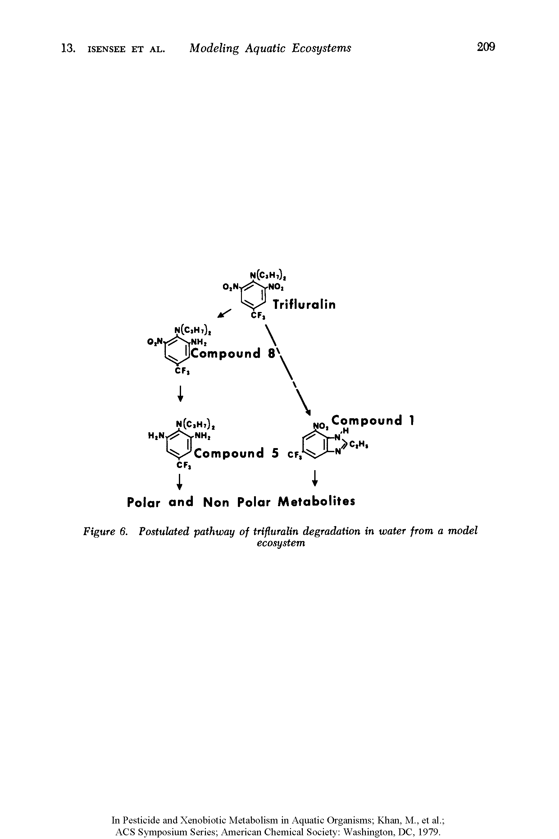 Figure 6. Postulated pathway of trifluralin degradation in water from a model...