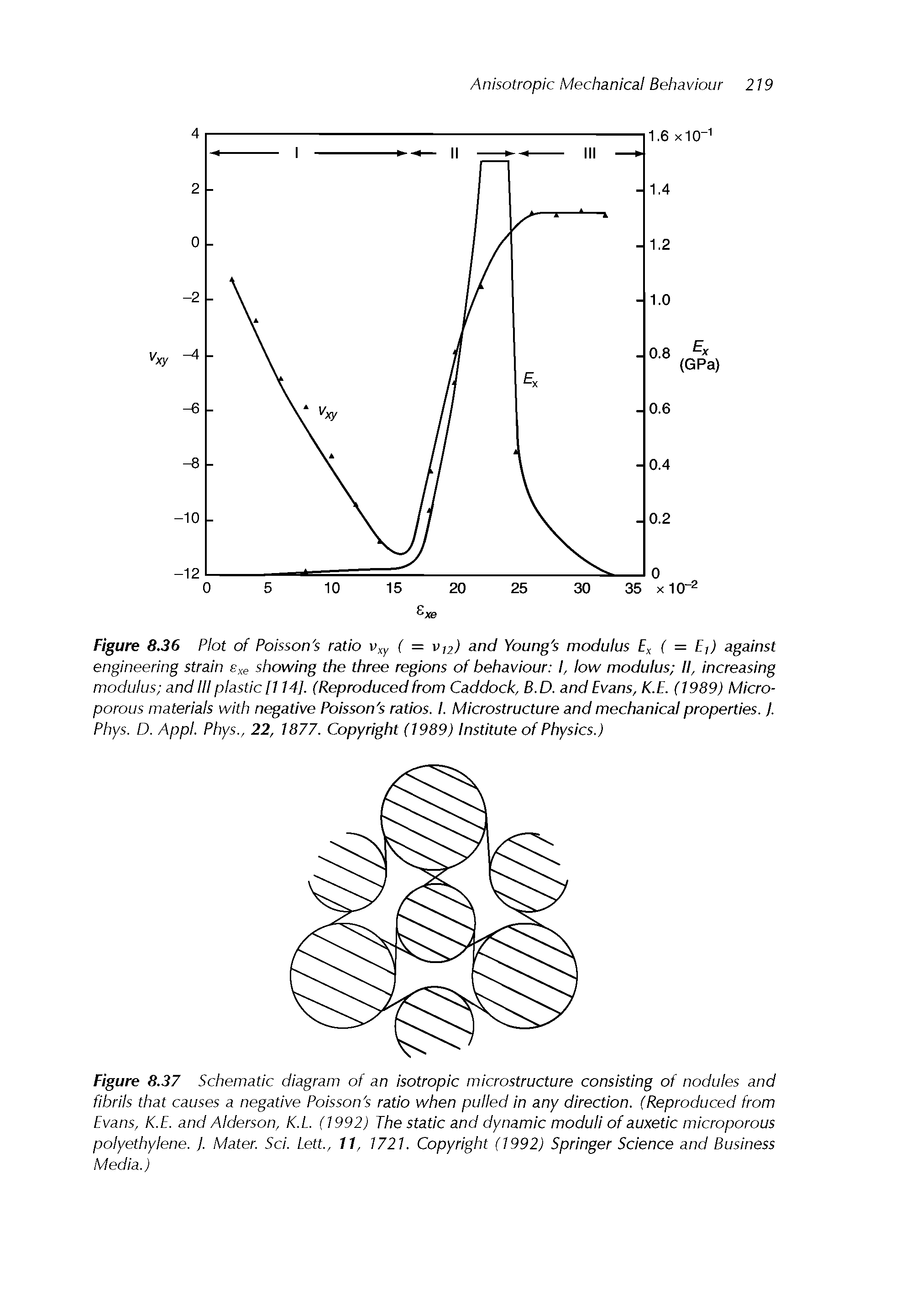 Figure 8.37 Schematic diagram of an isotropic microstructure consisting of nodules and fibrils that causes a negative Poisson s ratio when pulled In any direction. (Reproduced from Evans, K.E. and Alderson, K.L (1992) The static and dynamic moduli of auxetic microporous polyethylene. ]. Mater. Sci. Lett, 11, 1721. Copyright (1992) Springer Science and Business Media.)...