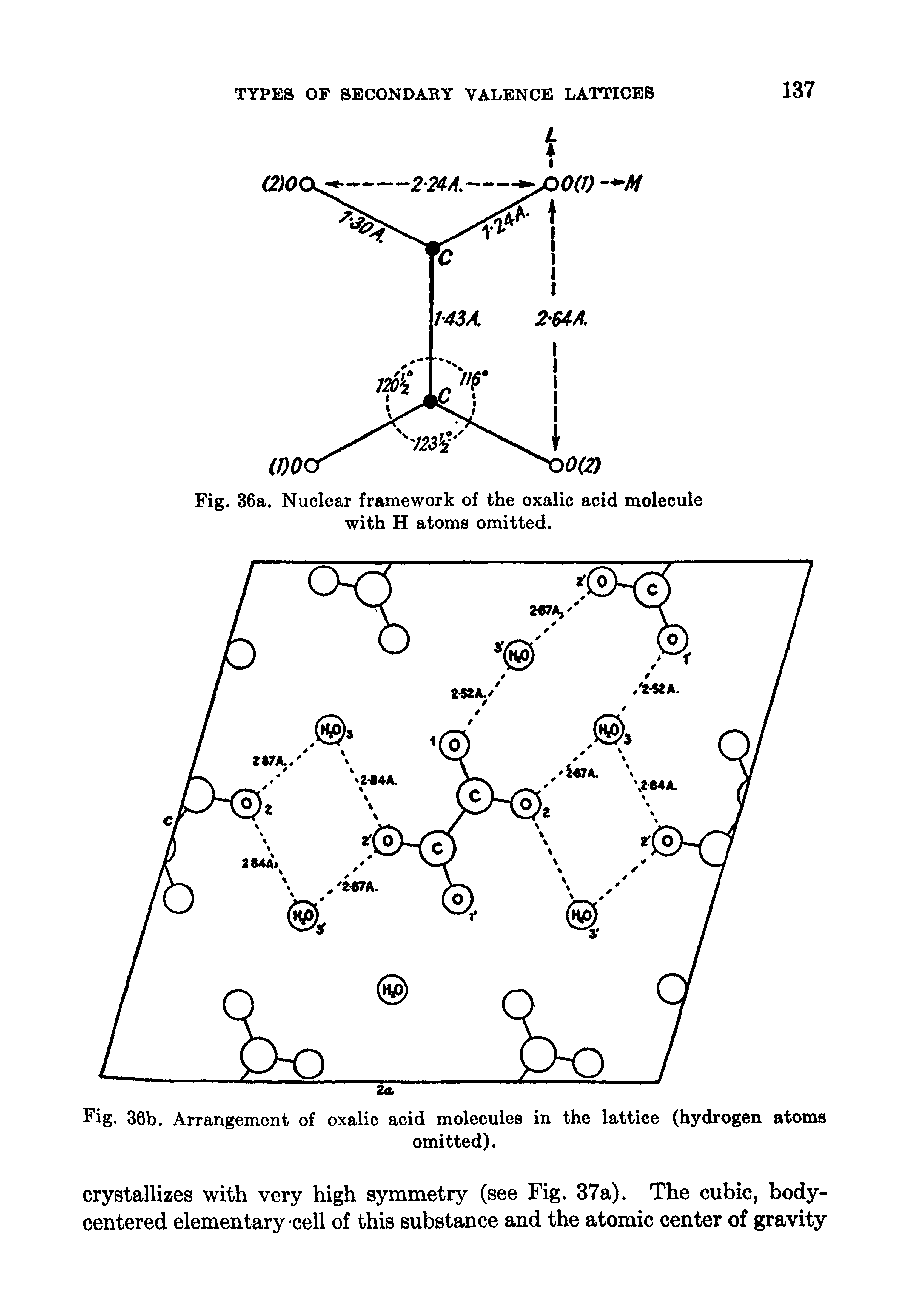 Fig. 36b. Arrangement of oxalic acid molecules in the lattice (hydrogen atoms...