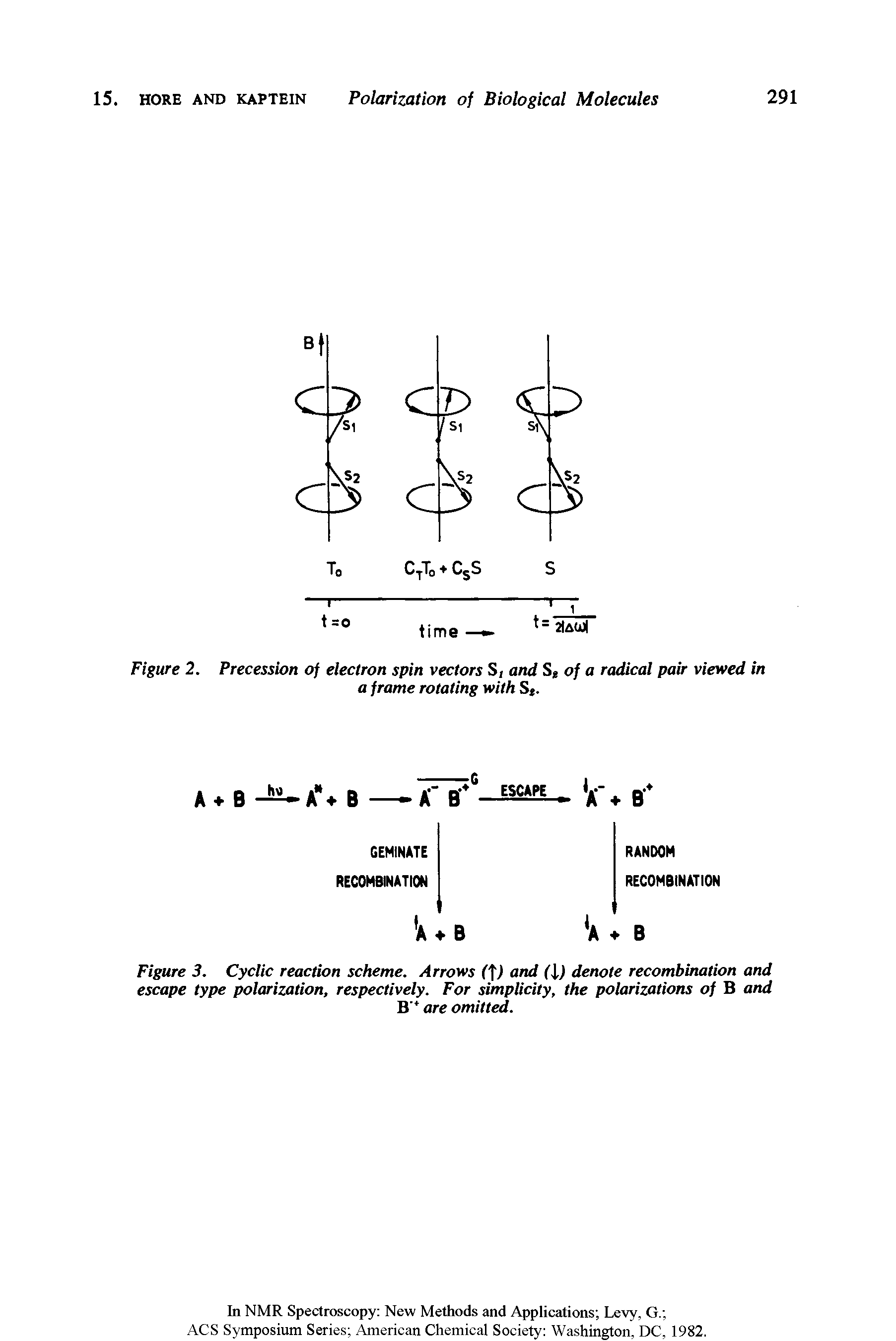 Figure 2. Precession of electron spin vectors S/ and S of a radical pair viewed in...