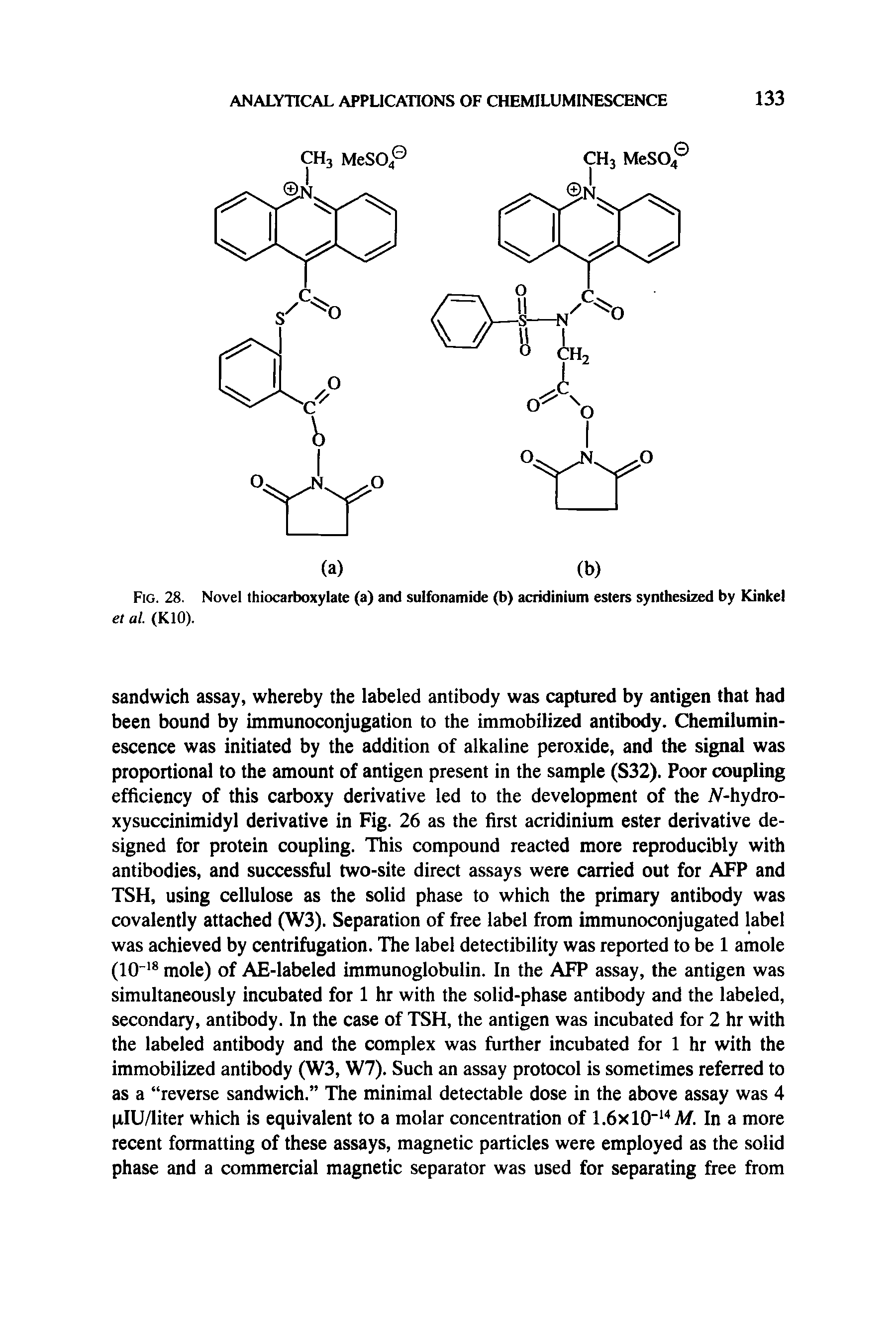 Fig. 28. Novel thiocarboxylate (a) and sulfonamide (b) acridinium esters synthesized by Kinkel et al. (KIO).