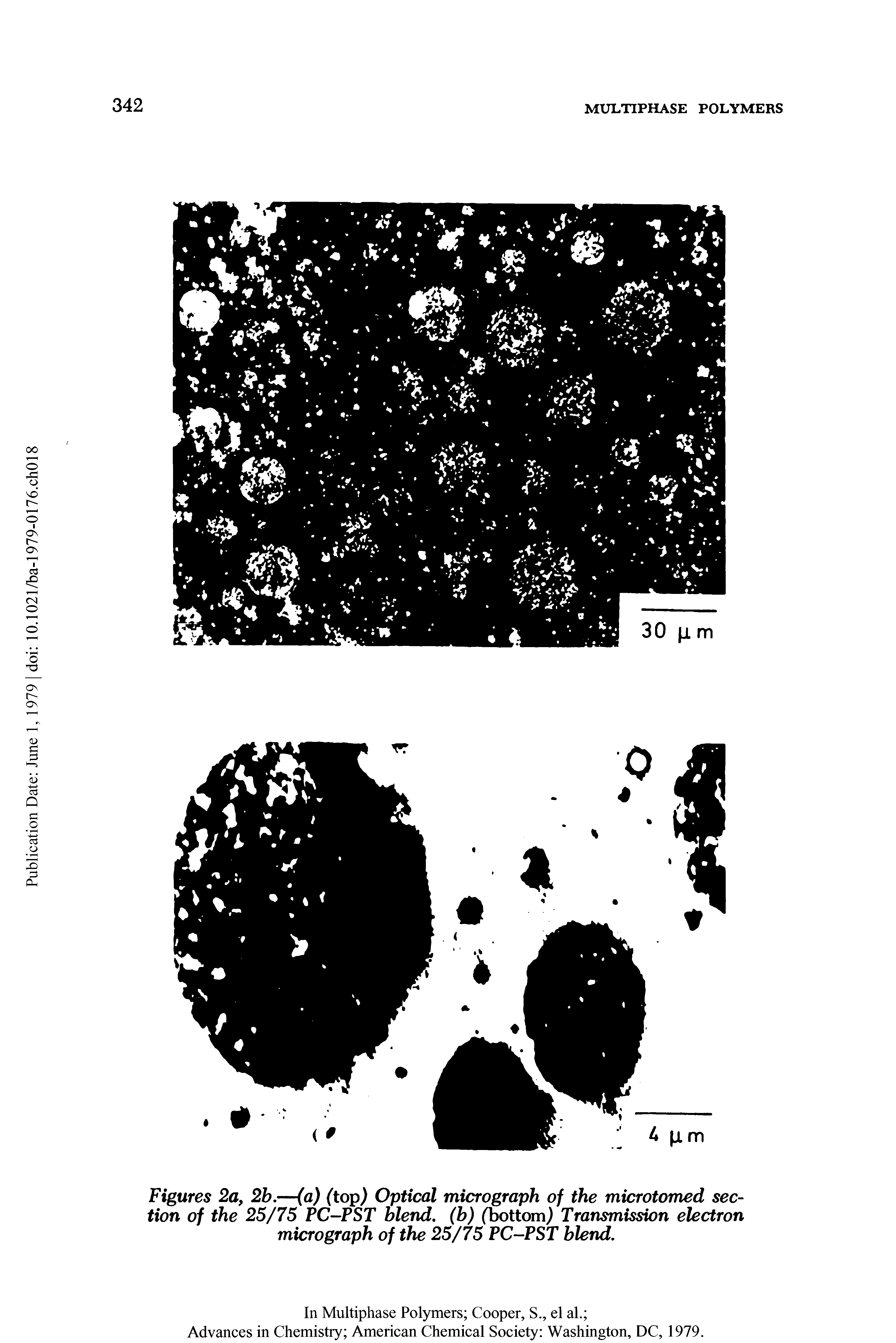 Figures 2a, 2b.—(a) (top) Optical micrograph of the microtomed section of the 25/75 PC-PST blend. (b) (bottom) Transmission electron micrograph of the 25/75 PC-PST blend.