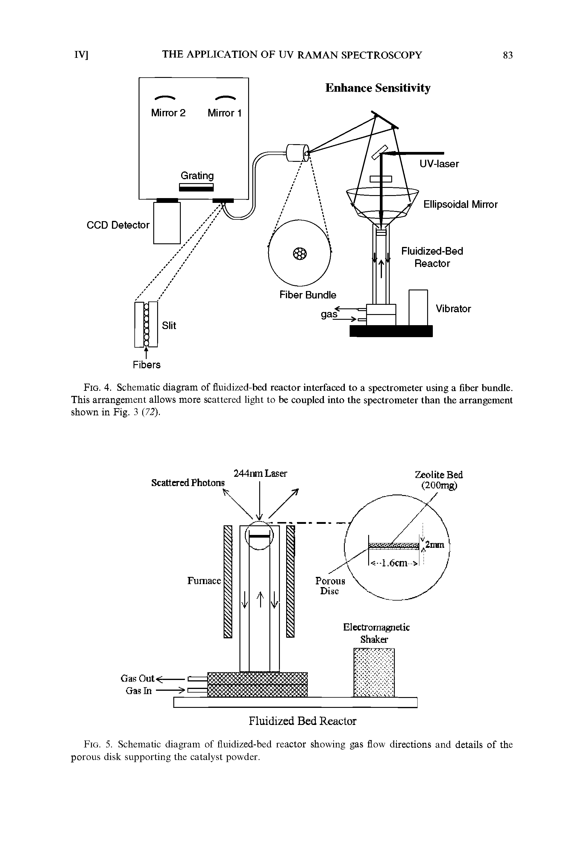 Fig. 5. Schematic diagram of fluidized-bed reactor showing gas flow directions and details of the porous disk supporting the catalyst powder.