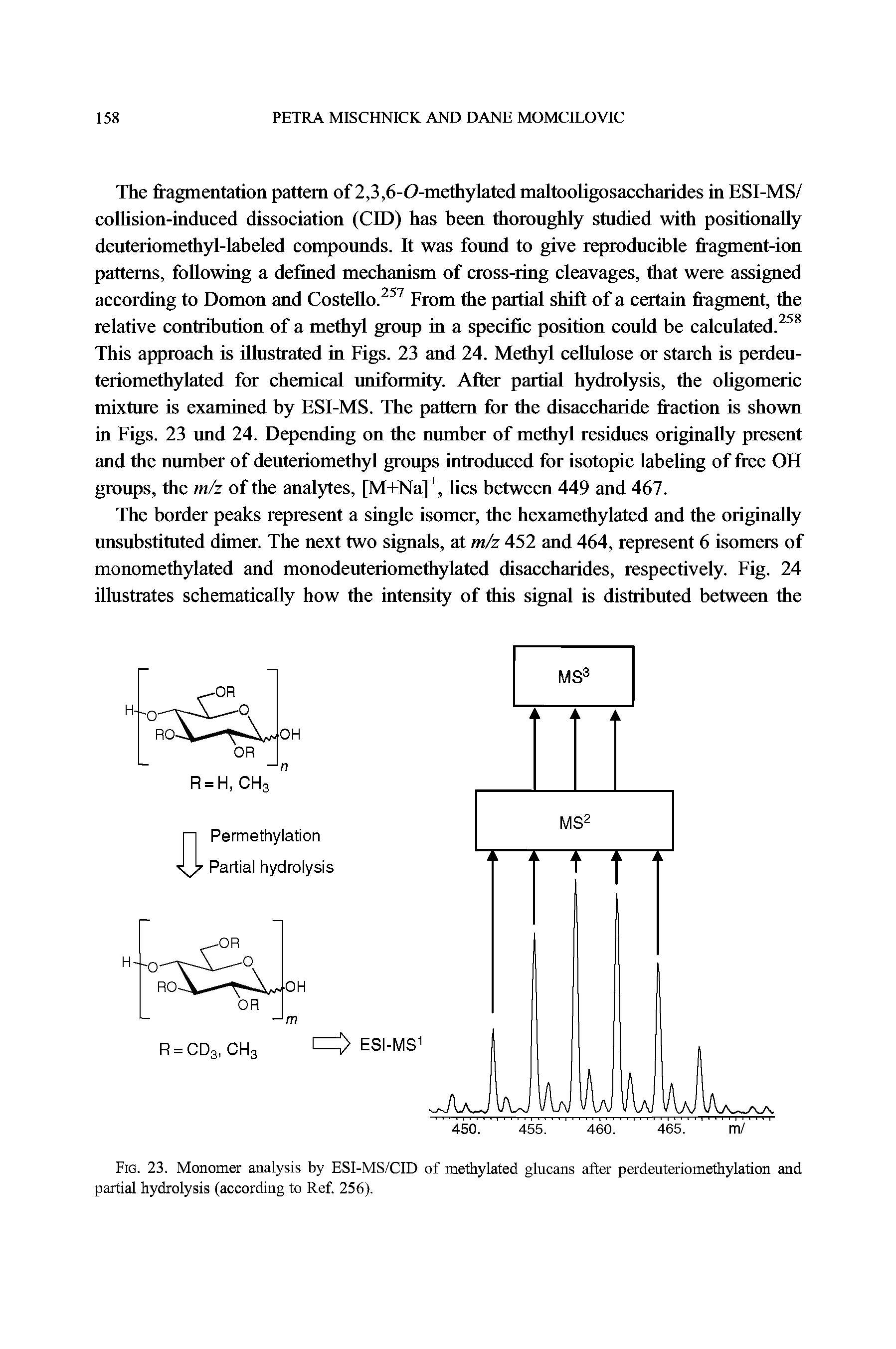 Fig. 23. Monomer analysis by ESI-MS/CID of methylated glucans after perdeuteriomethylation and partial hydrolysis (according to Ref. 256).