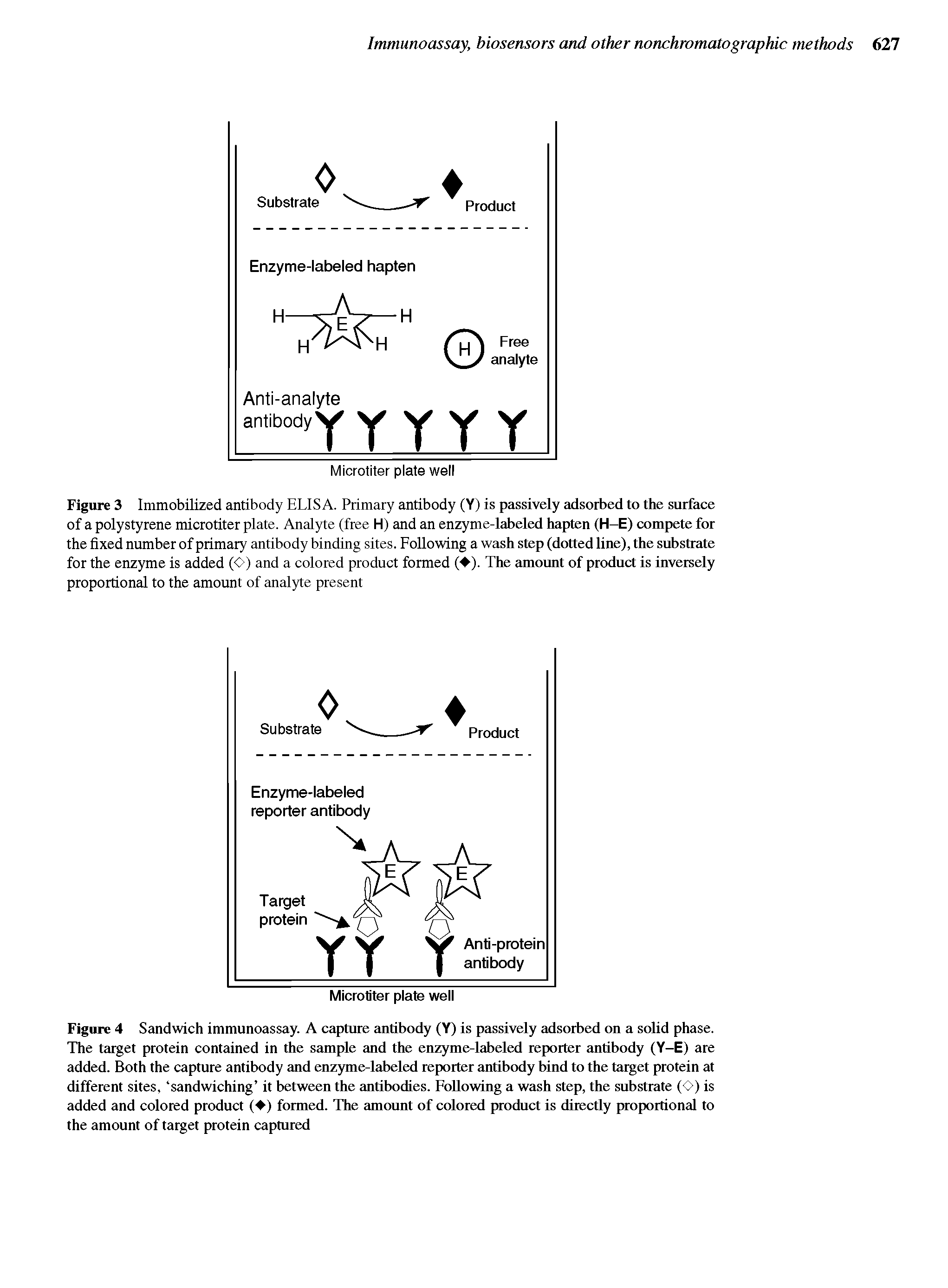 Figure 3 Immobilized antibody ELISA. Primary antibody (Y) is passively adsorbed to the surface of a polystyrene microtiter plate. Analyte (free H) and an enzyme-labeled hapten (H-E) compete for the fixed number of primary antibody binding sites. Following a wash step (dotted line), the substrate for the enzyme is added O) and a colored product formed ( ). The amount of product is inversely proportional to the amount of analyte present...