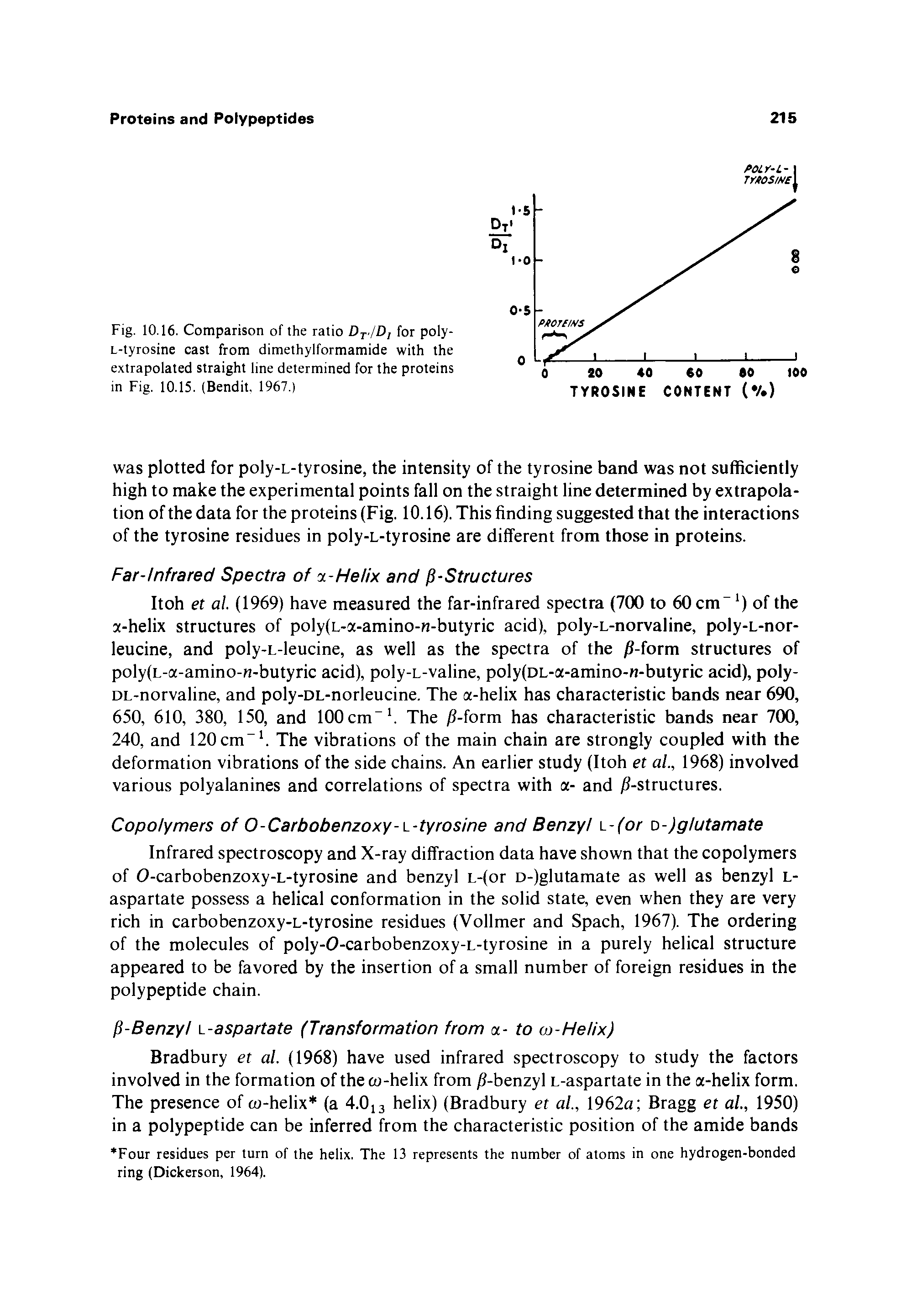 Fig. 10.16. Comparison of the ratio Dt /D, for poly-L-tyrosine cast from dimethylformamide with the extrapolated straight line determined for the proteins in Fig. 10.15. (Bendit, 1967.)...