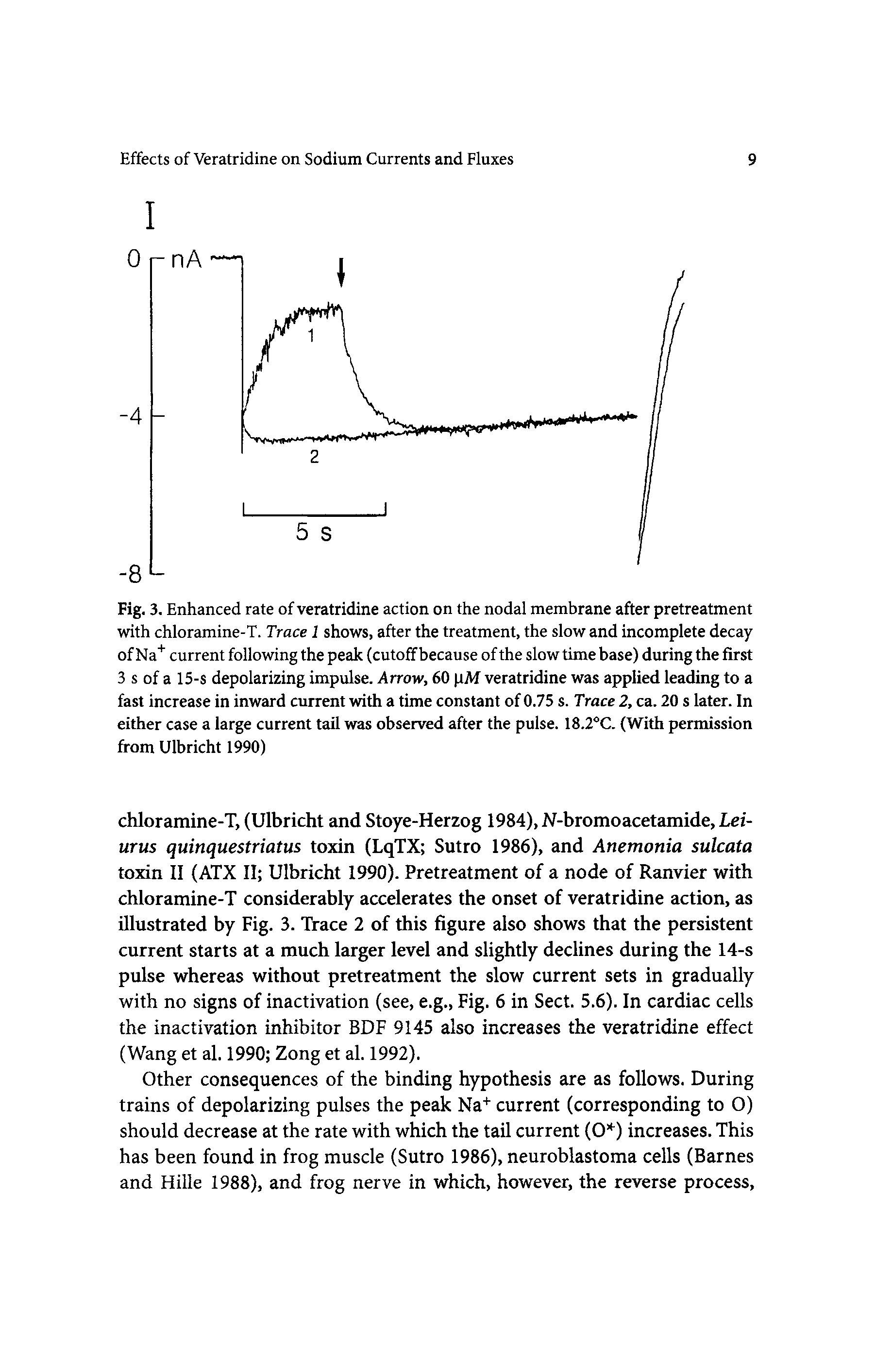 Fig. 3. Enhanced rate of veratridine action on the nodal membrane after pretreatment with chloramine-T. Trace 1 shows, after the treatment, the slow and incomplete decay of Na current following the peak (cutoff because of the slow time base) during the first 3 s of a 15-s depolarizing impulse. Arrow, 60 pM veratridine was applied leading to a fast increase in inward current with a time constant of 0.75 s. Trace 2, ca. 20 s later. In either case a large current tail was observed after the pulse. 18.2 C. (With permission from Ulbricht 1990)...