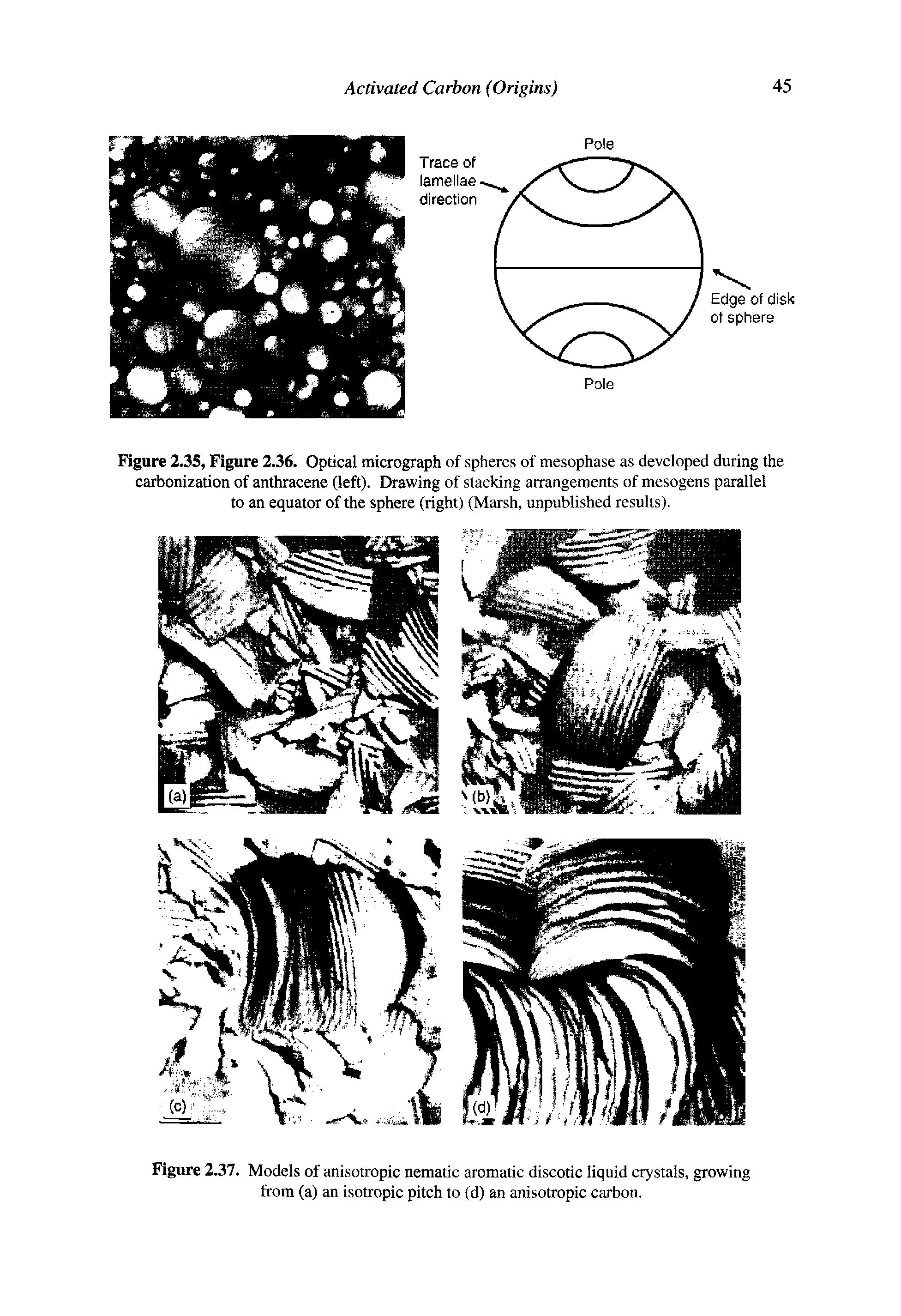 Figure 2.3S, Figure 2.36. Optical micrograph of spheres of mesophase as developed during the carbonization of anthracene (left). Drawing of stacking arrangements of mesogens parallel to an equator of the sphere (right) (Marsh, unpublished results).
