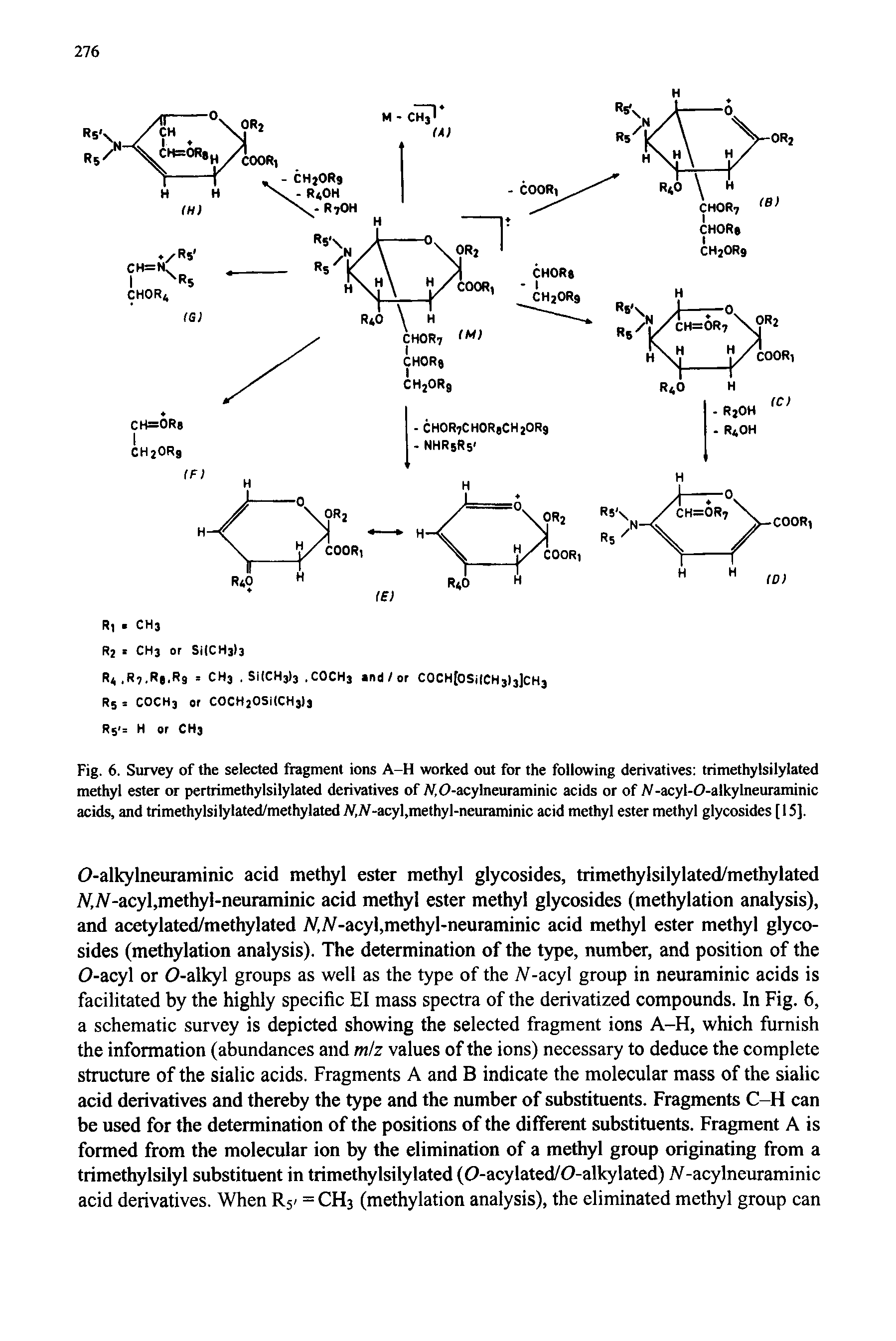 Fig. 6. Survey of the selected fragment ions A-H worked out for the following derivatives trimethylsilylated methyl ester or pertrimethylsilylated derivatives of /V,0-acylneuraminic acids or of A/-acyl-0-alkylneuraminic acids, and trimethylsilylated/methylated /V,/V-acyl,methyl-neuraminic acid methyl ester methyl glycosides [ 15].