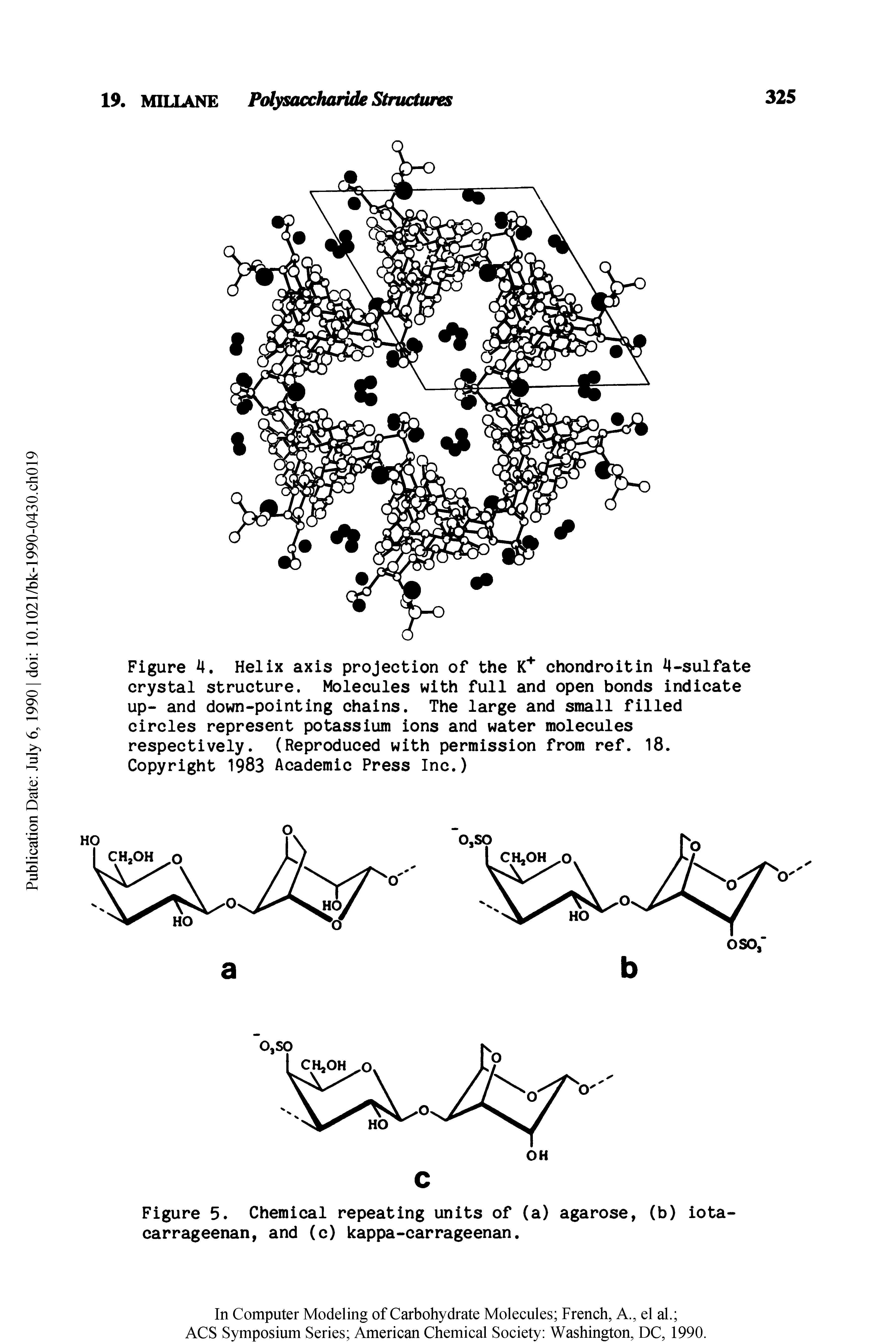 Figure 4. Helix axis projection of the chondroitin 4-sulfate crystal structure. Molecules with full and open bonds indicate up- and down-pointing chains. The large and small filled circles represent potassium ions and water molecules respectively. (Reproduced with permission from ref. 18. Copyright 1983 Academic Press Inc.)...
