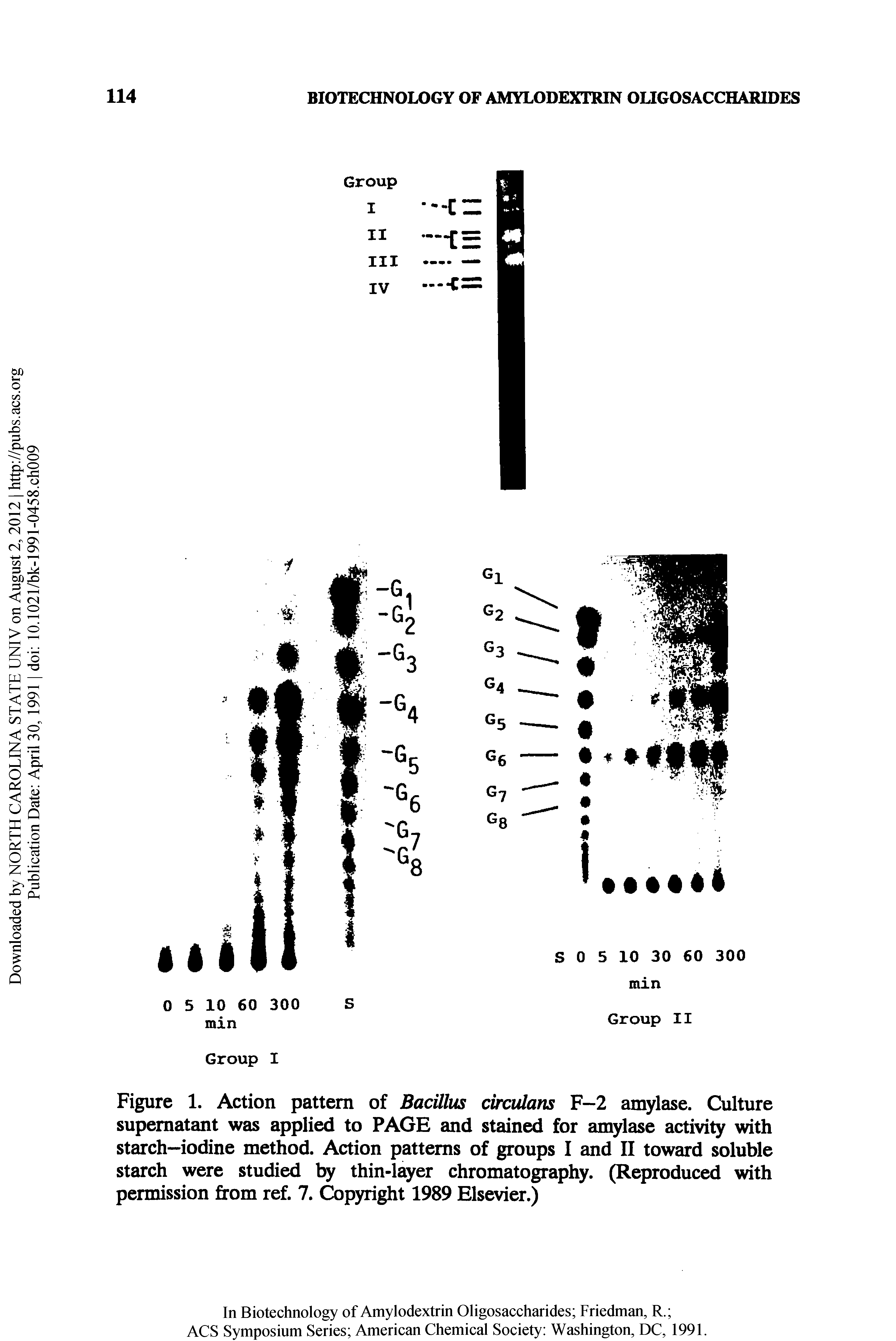 Figure 1. Action pattern of Bacillus circulans F-2 amylase. Culture supernatant was applied to PAGE and stained for amylase activity with starch—iodine method. Action patterns of groups I and II toward soluble starch were studied thin-layer chromatography. (Reproduced with permission from ref. 7. Cbpyright 1989 Elsevier.)...