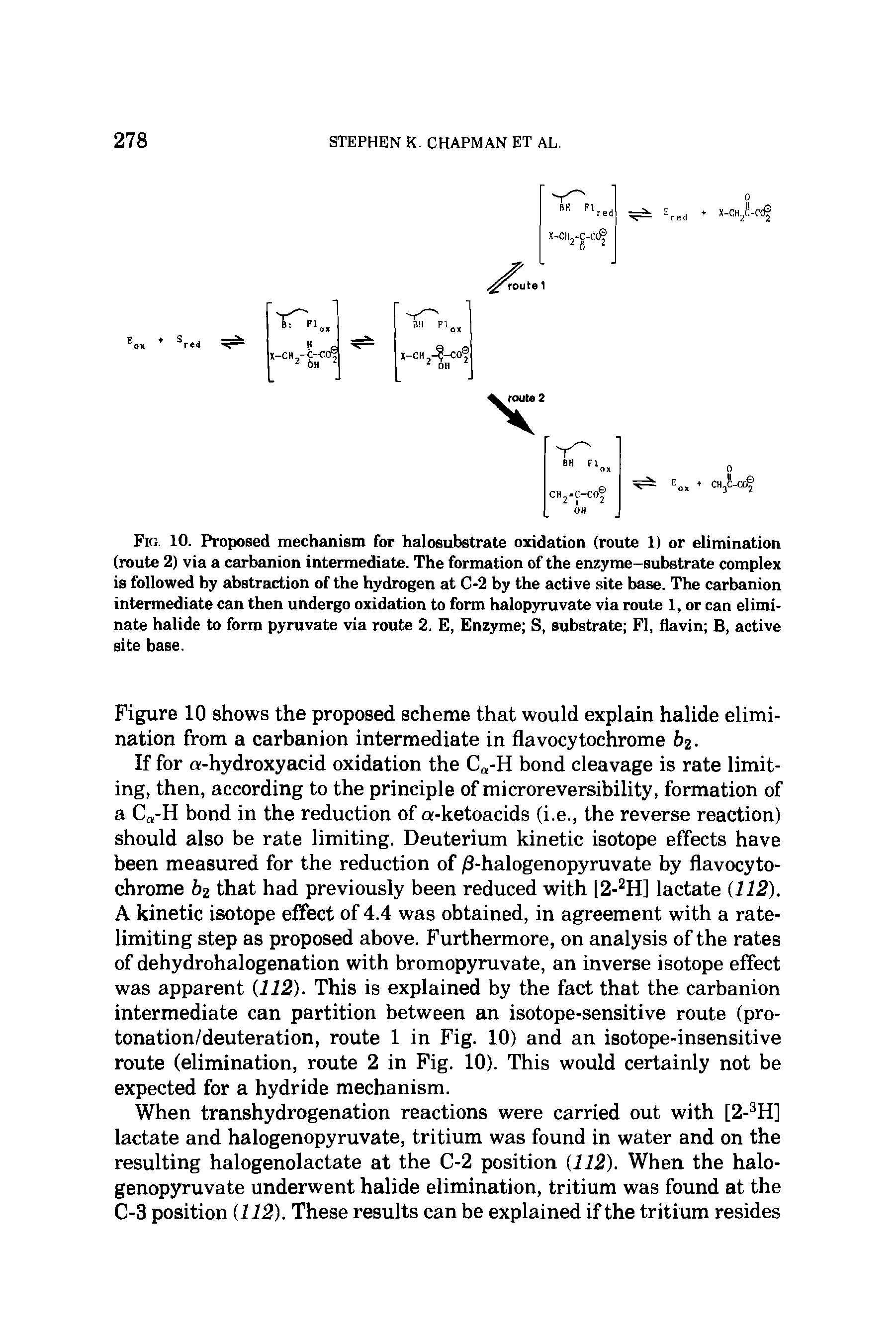 Fig. 10. Proposed mechanism for halosubstrate oxidation (route 1) or elimination (route 2) via a carbanion intermediate. The formation of the enzyme-substrate complex is followed by abstraction of the hydrogen at C-2 by the active site base. The carbanion intermediate can then undergo oxidation to form halopyruvate via route 1, or can eliminate halide to form pyruvate via route 2. E, Enzyme S, substrate FI, flavin B, active site base.