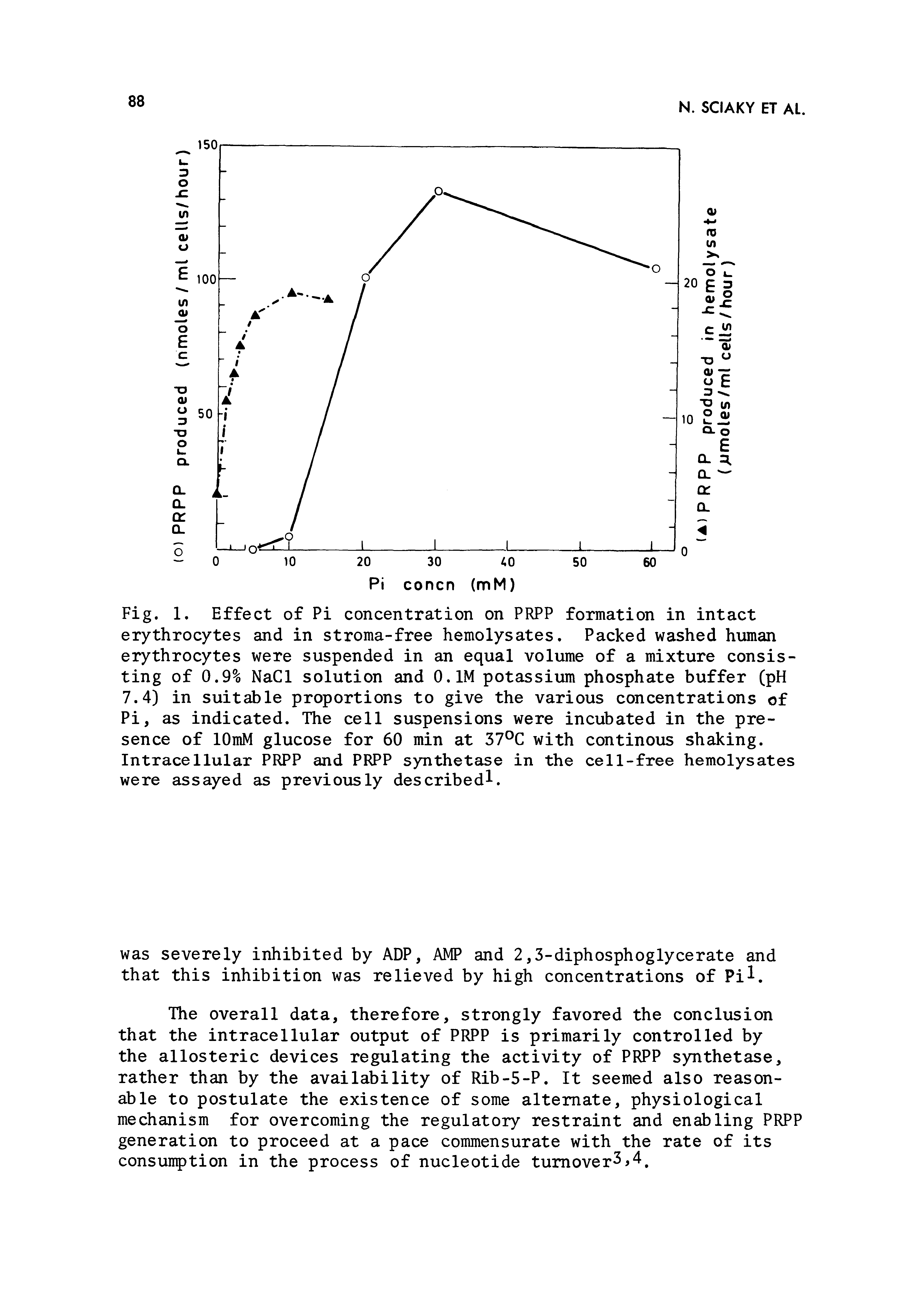 Fig. 1, Effect of Pi concentration on PRPP formation in intact erythrocytes and in stroma-free hemolysates. Packed washed human erythrocytes were suspended in an equal volume of a mixture consisting of 0.9% NaCl solution and O.IM potassium phosphate buffer (pH 7.4) in suitable proportions to give the various concentrations of Pi, as indicated. The cell suspensions were incubated in the presence of lOmM glucose for 60 min at 37°C with continous shaking. Intracellular PRPP and PRPP synthetase in the cell-free hemolysates were assayed as previously describedl.