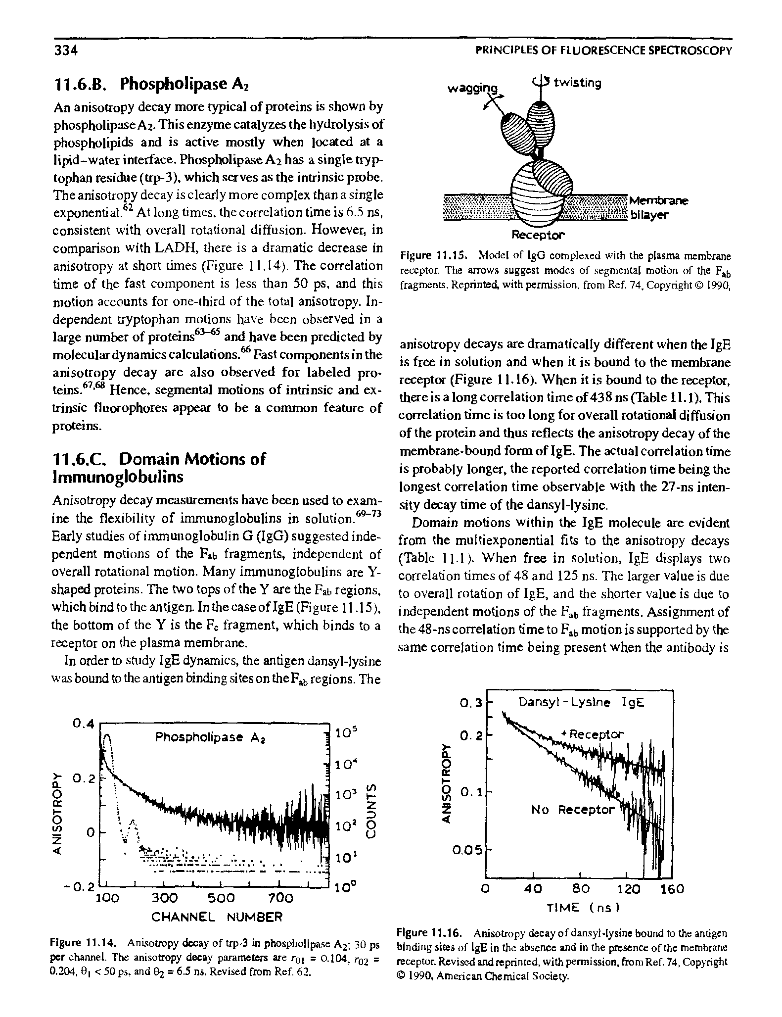 Figure 11.16. Anisotropy decay ofdansyl-lysine bound to the antigen binding sites of IgE in the absence and in the presence of the membrane receptor. Revised and reprinted, with permission, firom Ref, 74, Copyright 1990, American Chemical Sodeiy.
