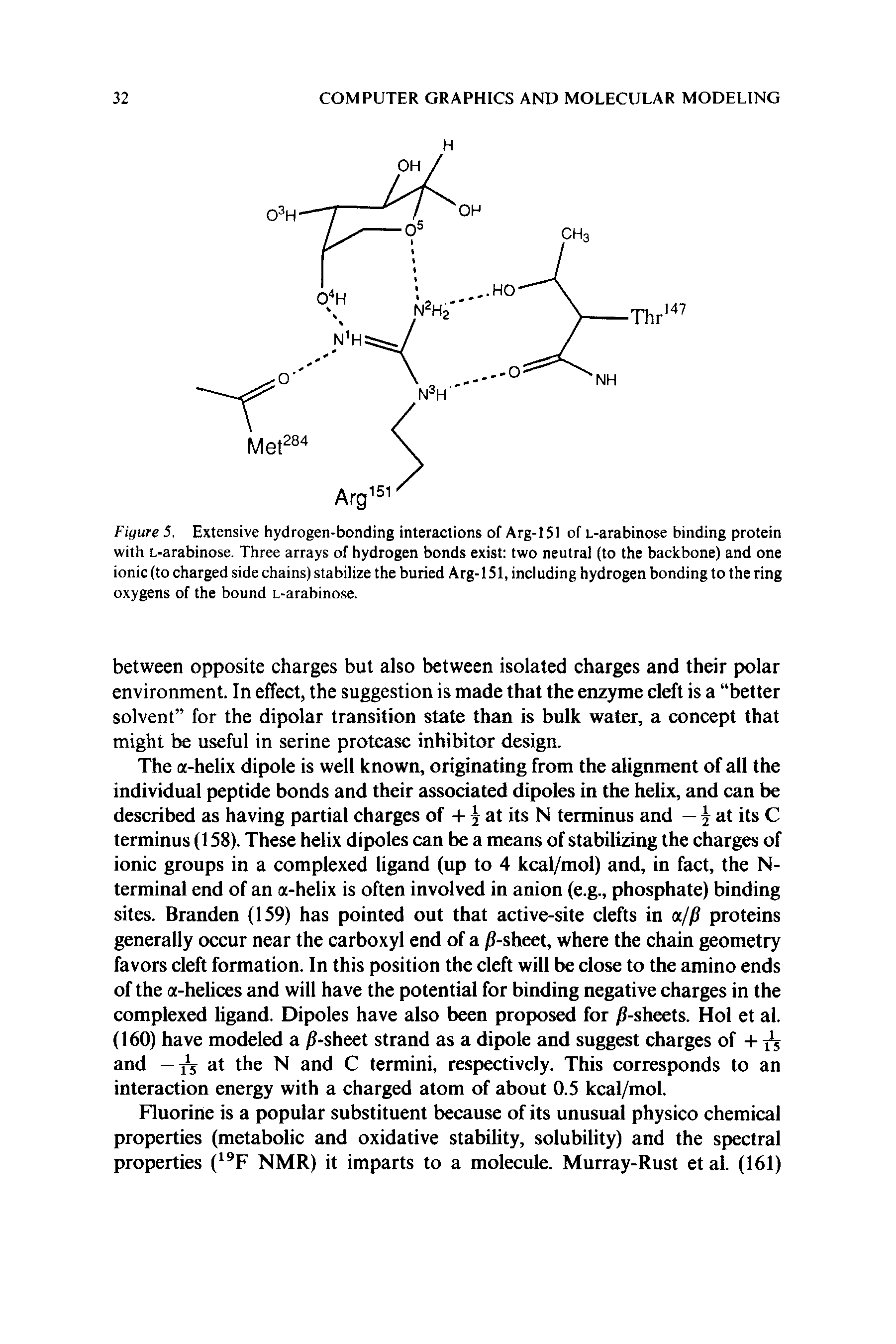 Figure 5. Extensive hydrogen-bonding interactions of Arg-151 of L-arabinose binding protein with L-arabinose. Three arrays of hydrogen bonds exist two neutral (to the backbone) and one ionic (to charged side chains) stabilize the buried Arg-151, including hydrogen bonding to the ring oxygens of the bound L-arabinose.